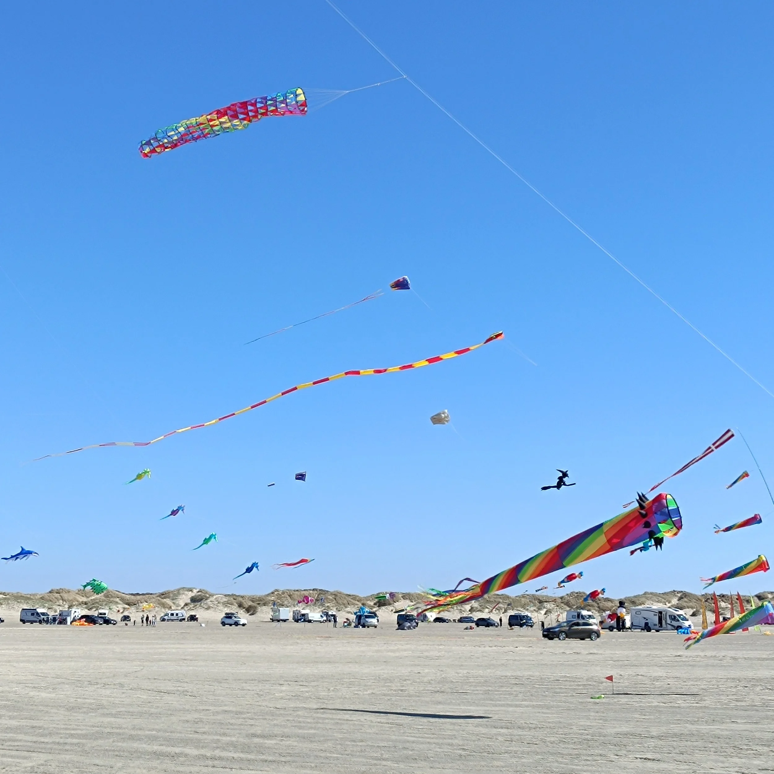 IMG_20260501_151950.jpg