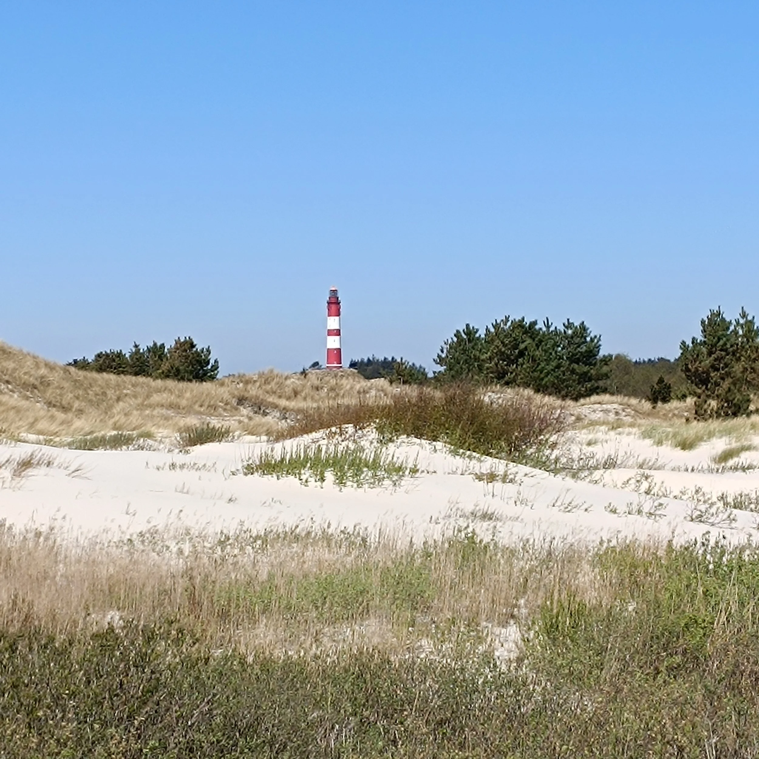 IMG_20260502_122355.jpg