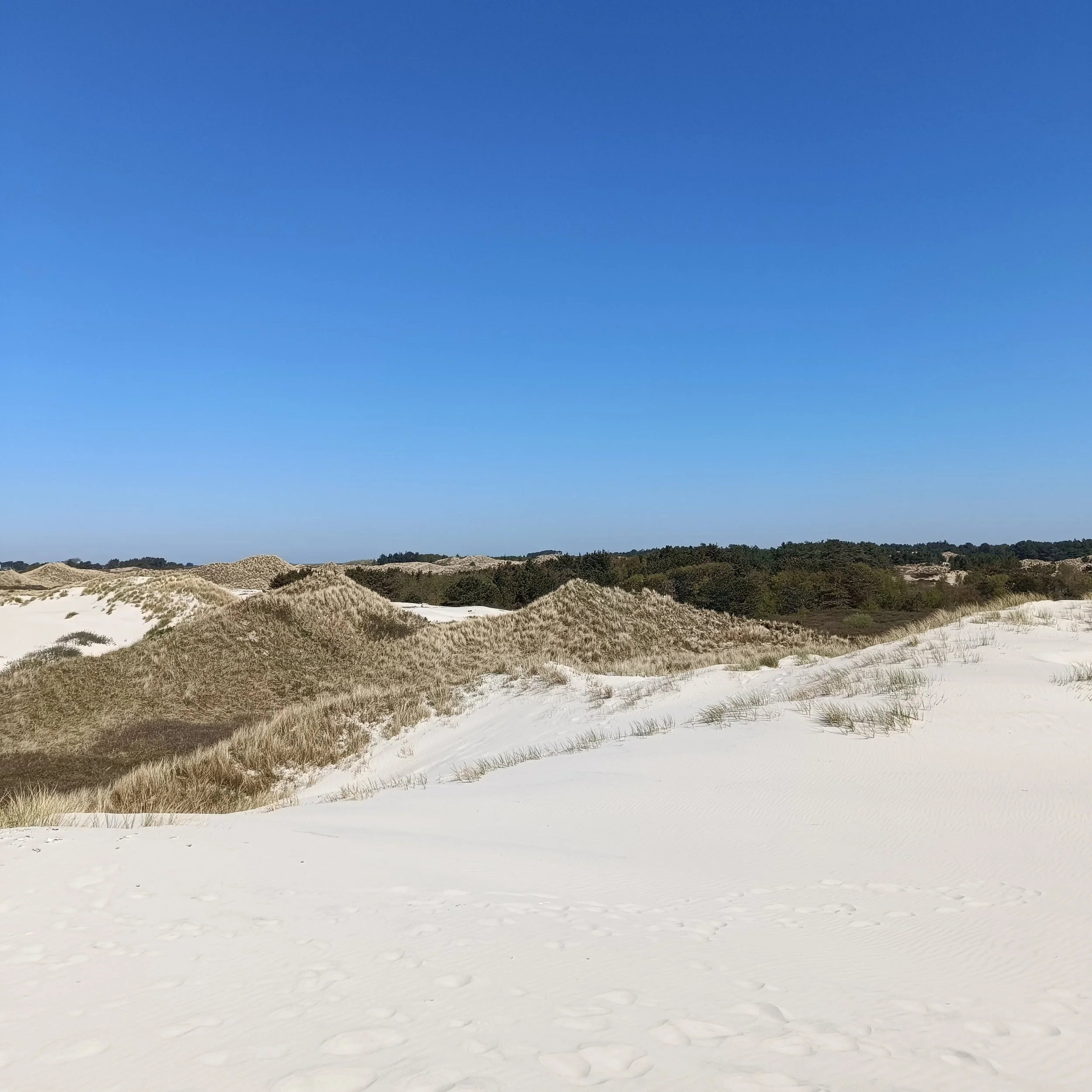 IMG_20260502_123950.jpg