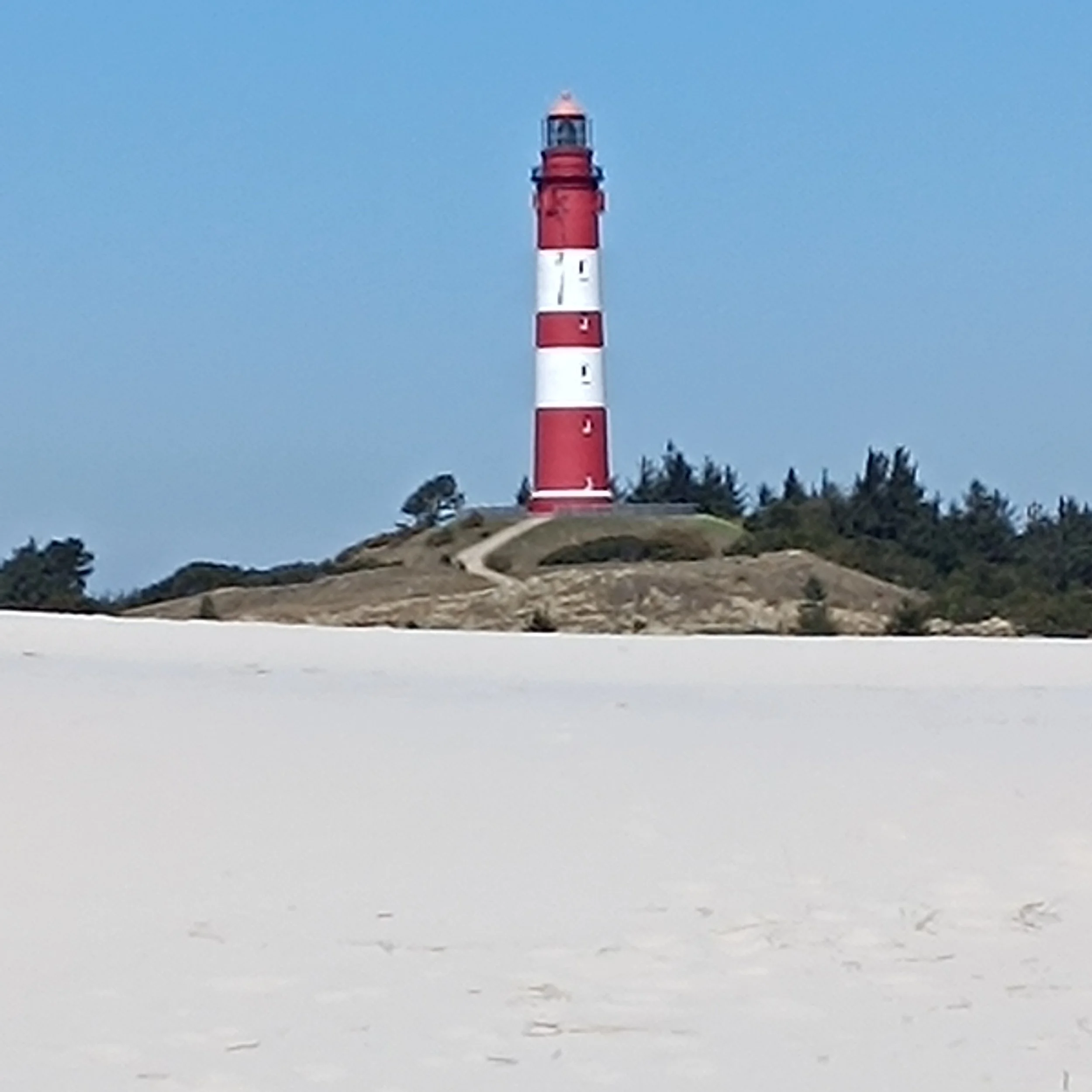 IMG_20260502_124418.jpg