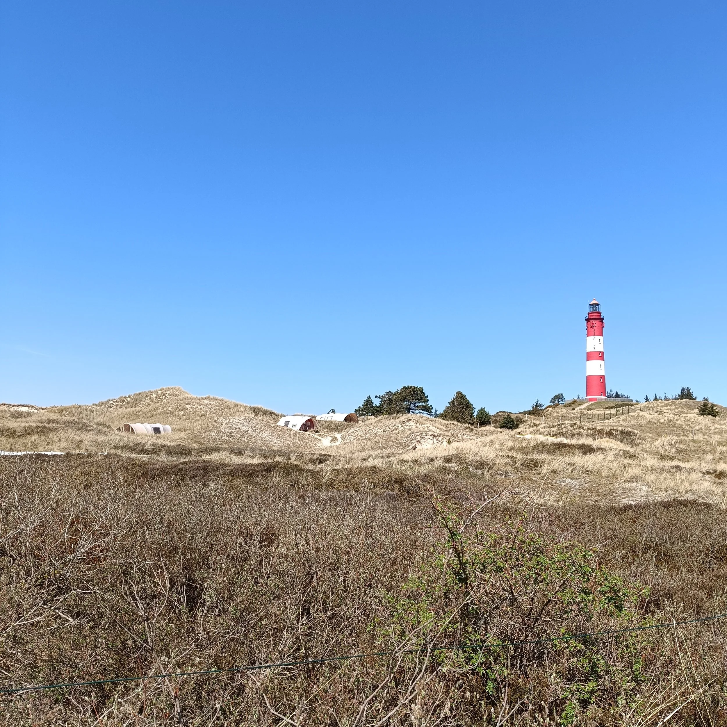 IMG_20260502_130417.jpg