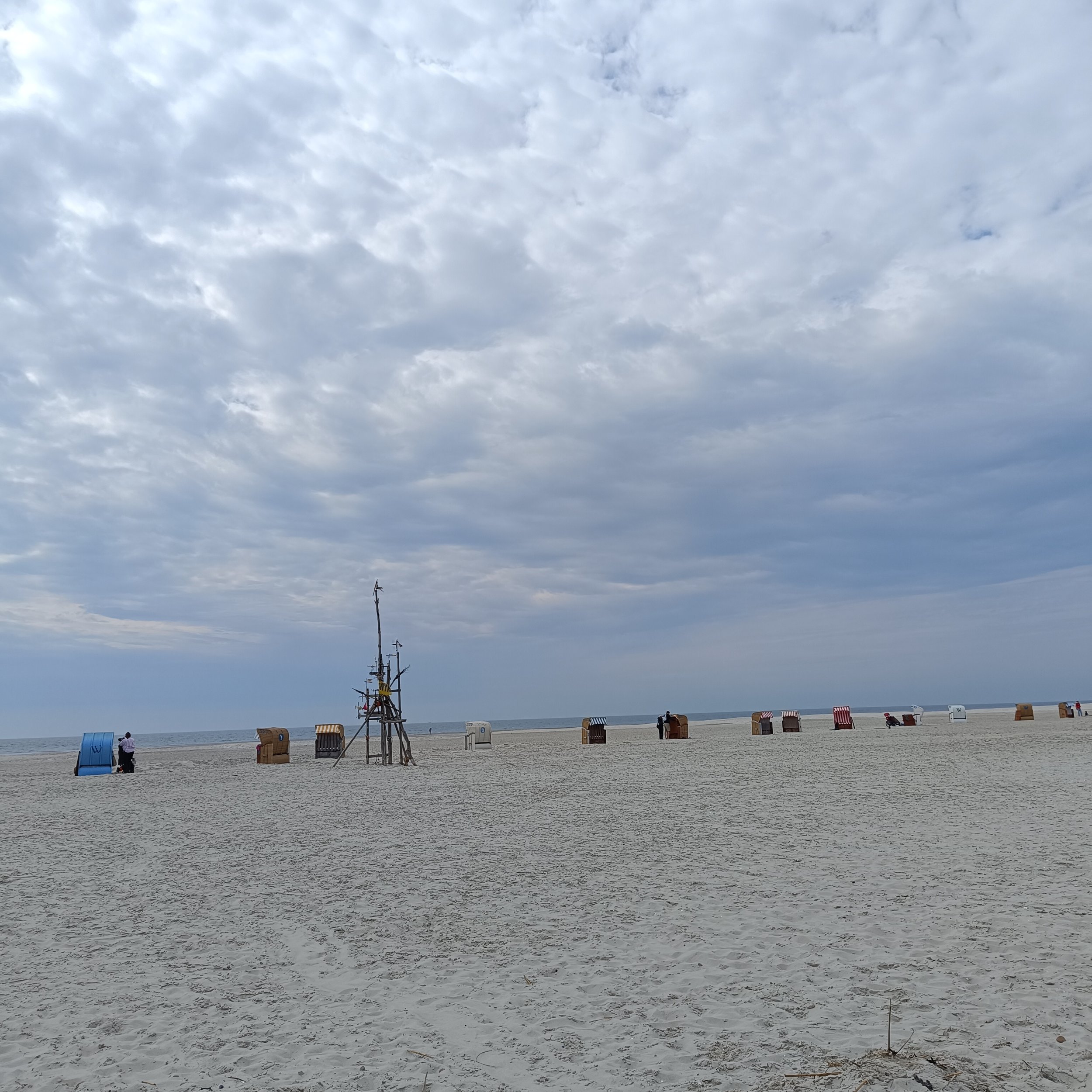 IMG_20260502_145819.jpg