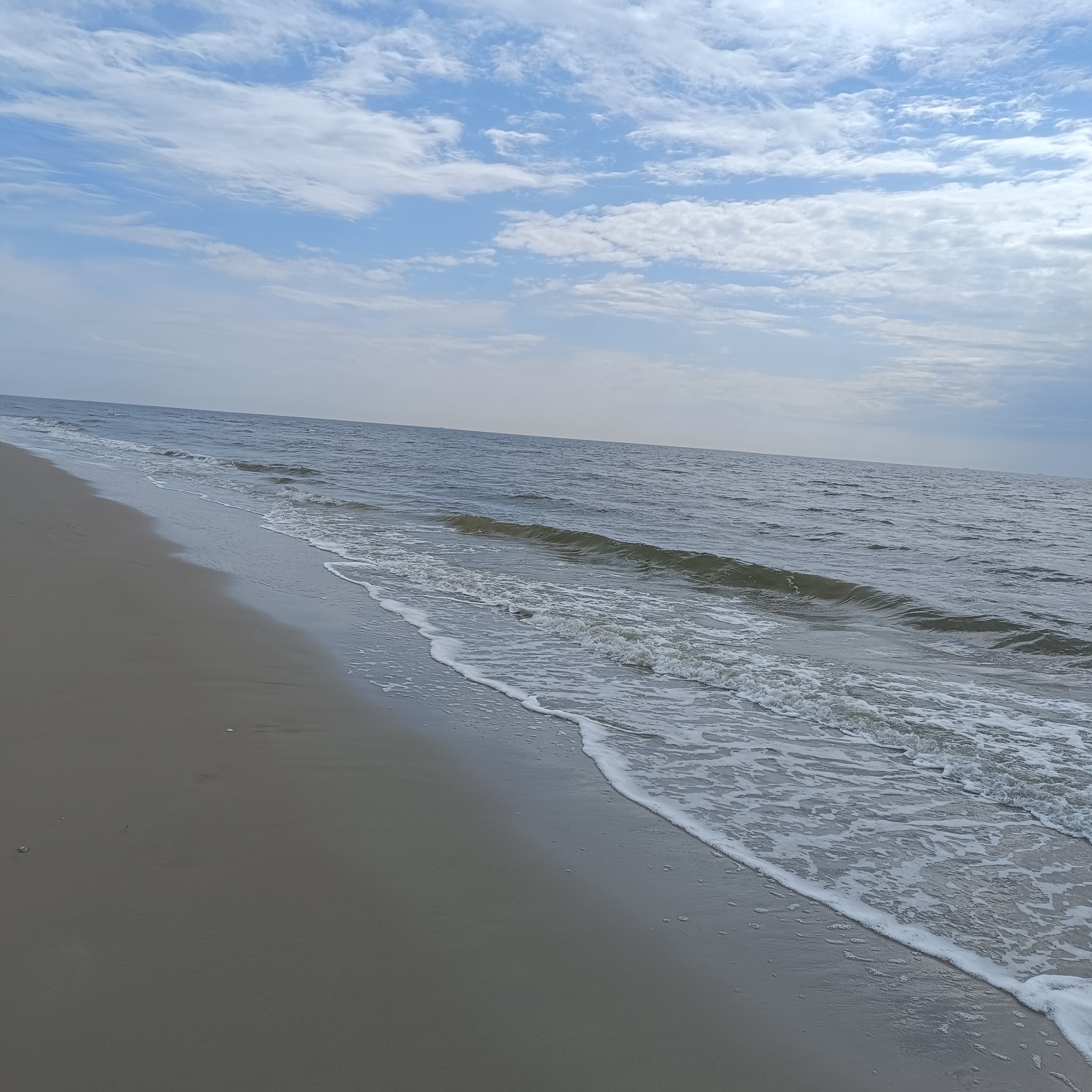 IMG_20260502_150308.jpg