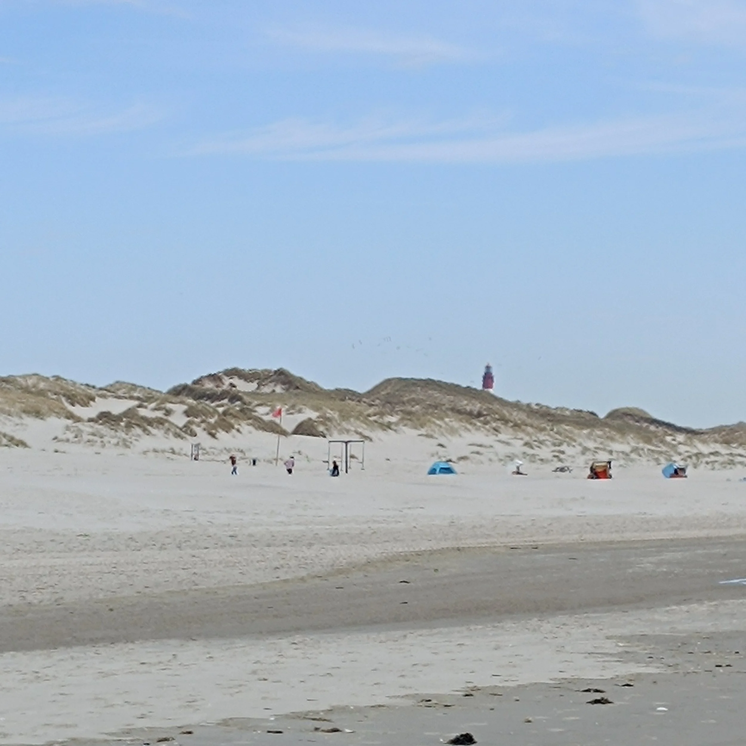 IMG_20260502_151703.jpg