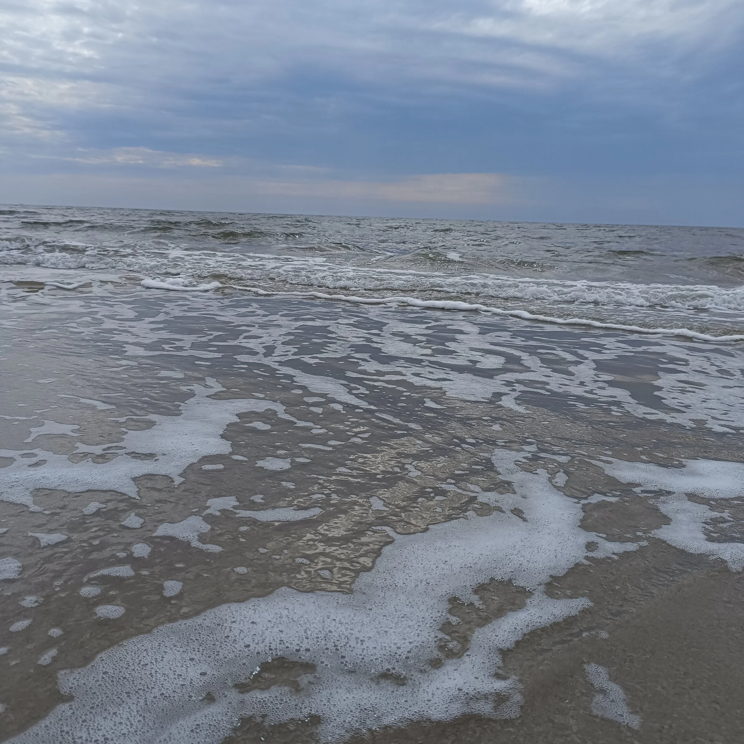 IMG_20260502_151625.jpg