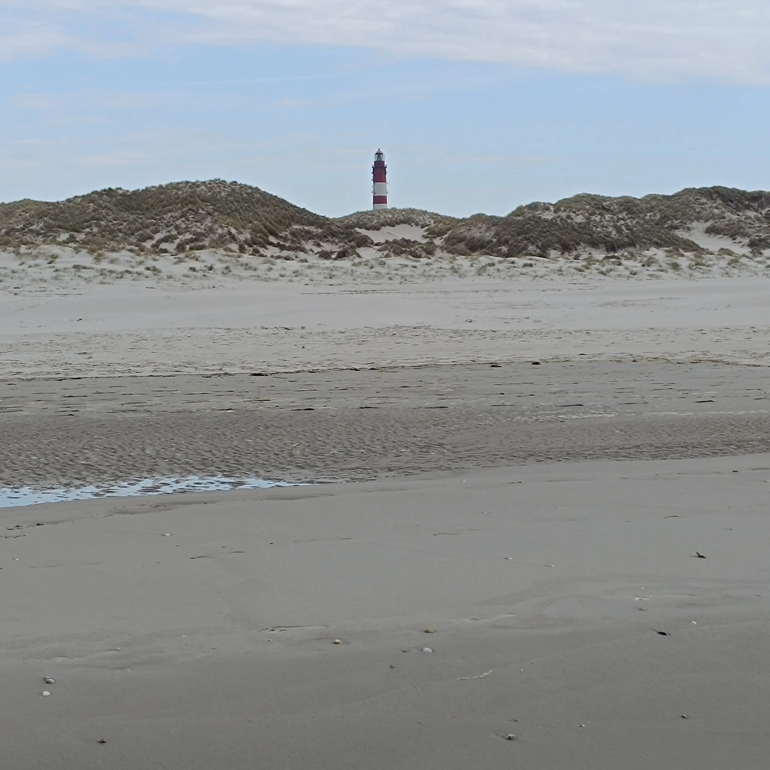 IMG_20260502_153626.jpg