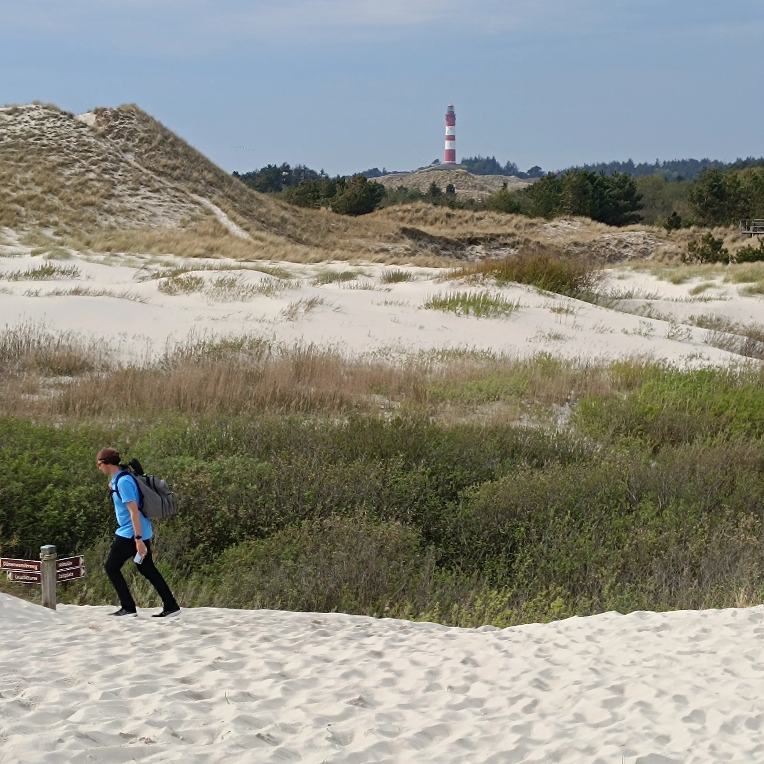 IMG_20260502_161745.jpg