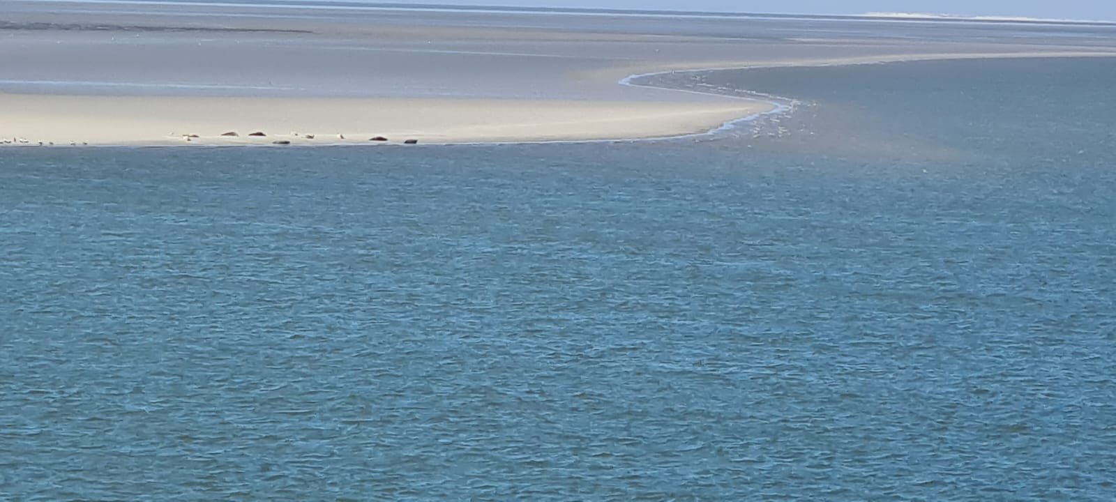 IMG-20260502-WA0003.jpg