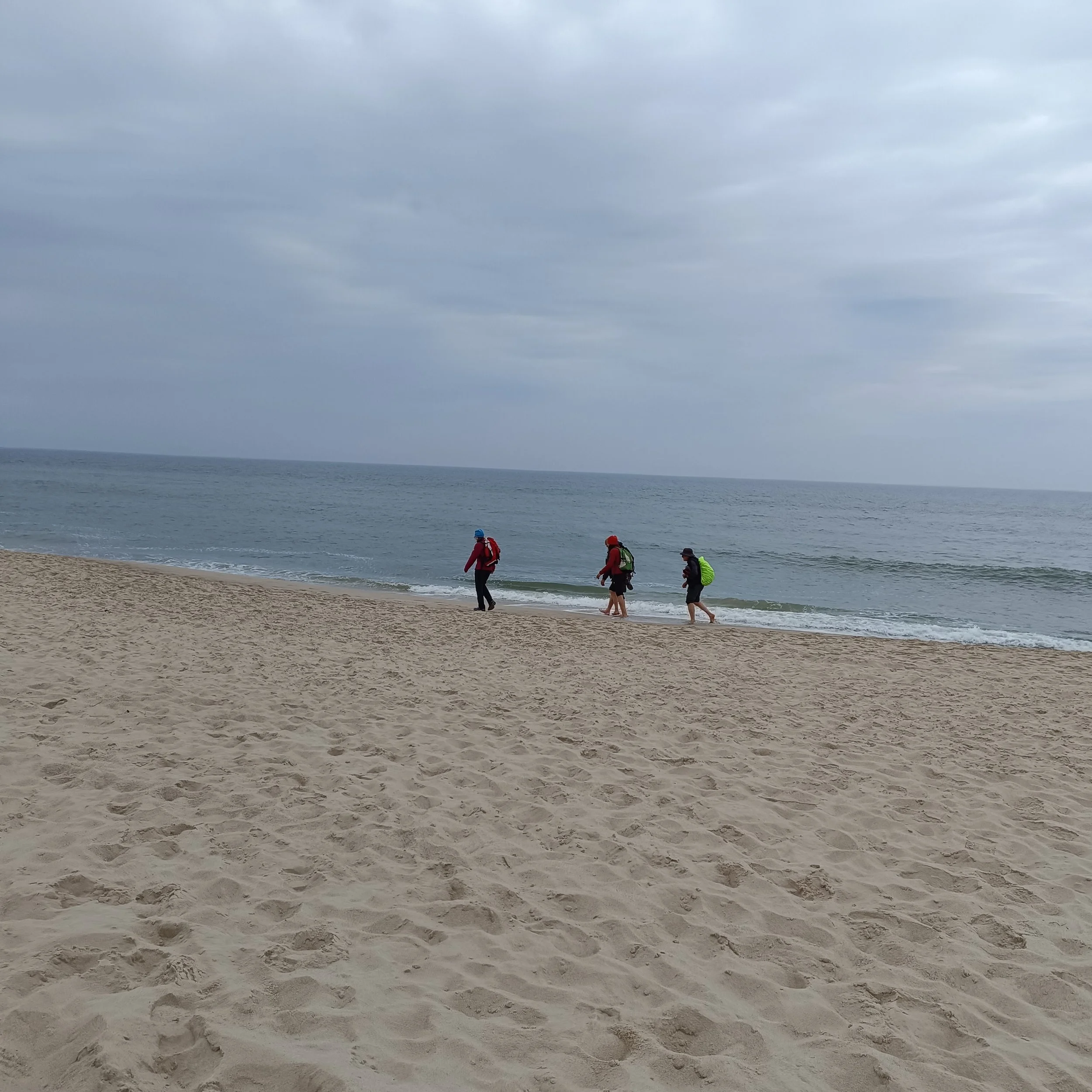 IMG_20260503_145216.jpg