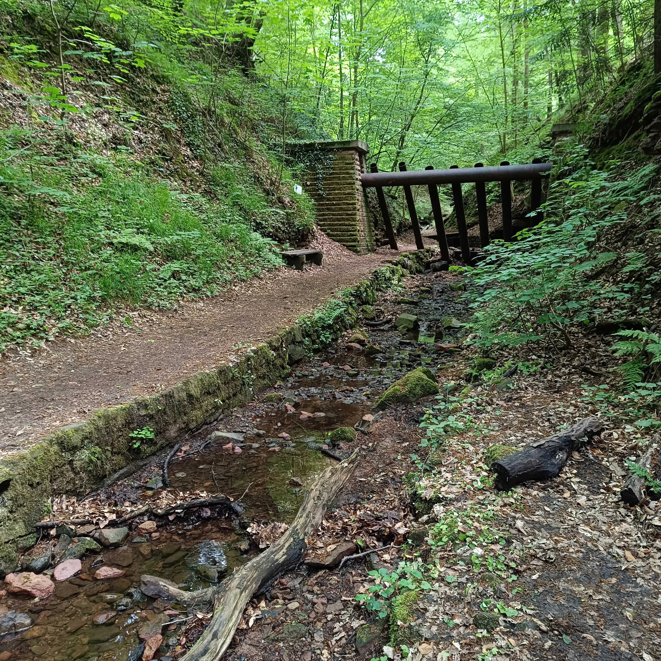 IMG_20260509_120612.jpg