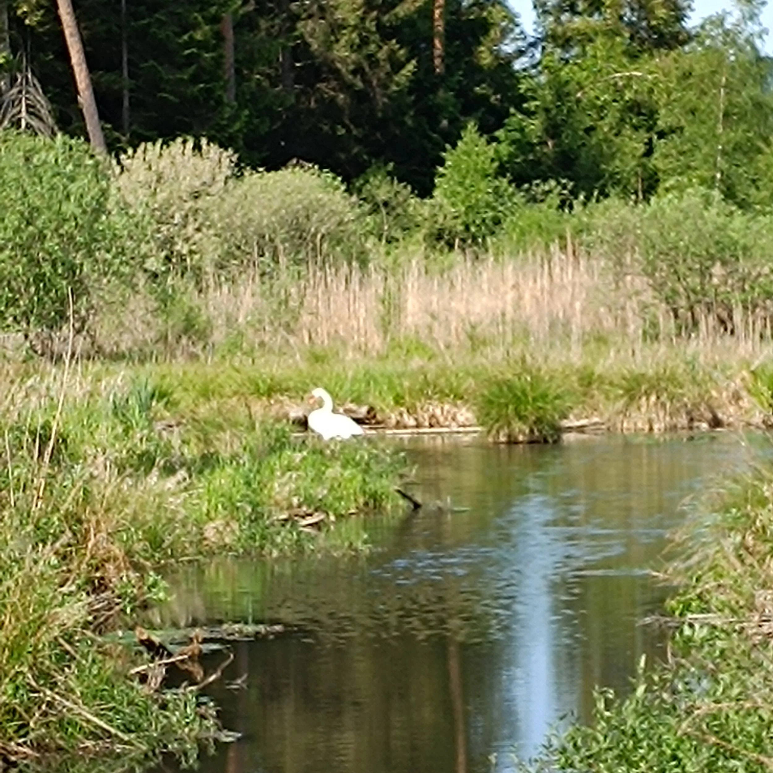 IMG_20260524_105459.jpg