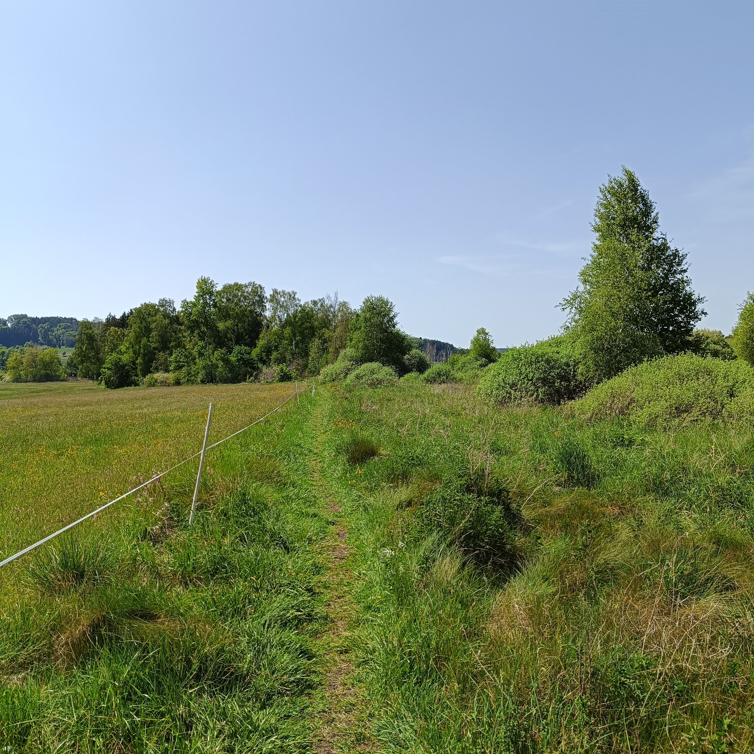 IMG_20260524_144520.jpg
