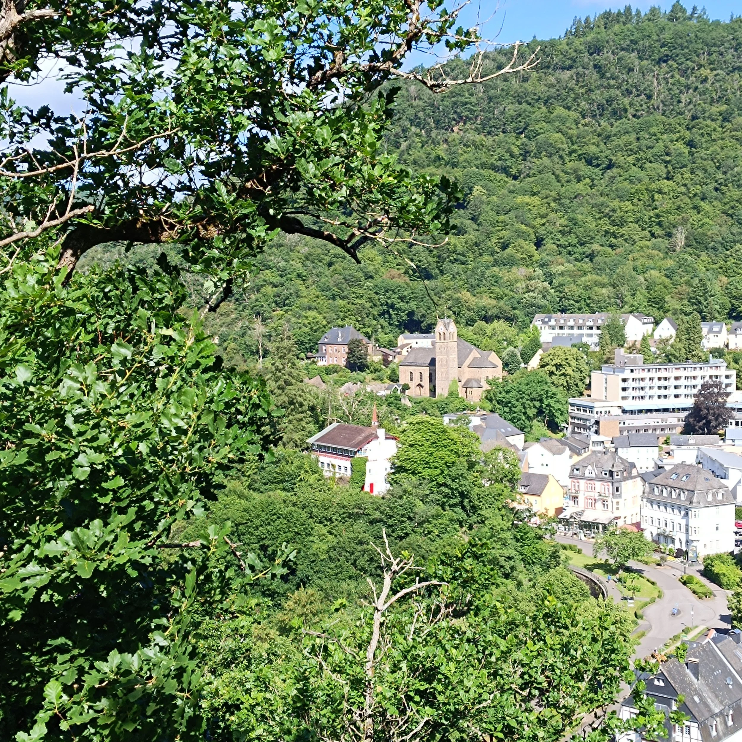 IMG_20260613_101453.jpg