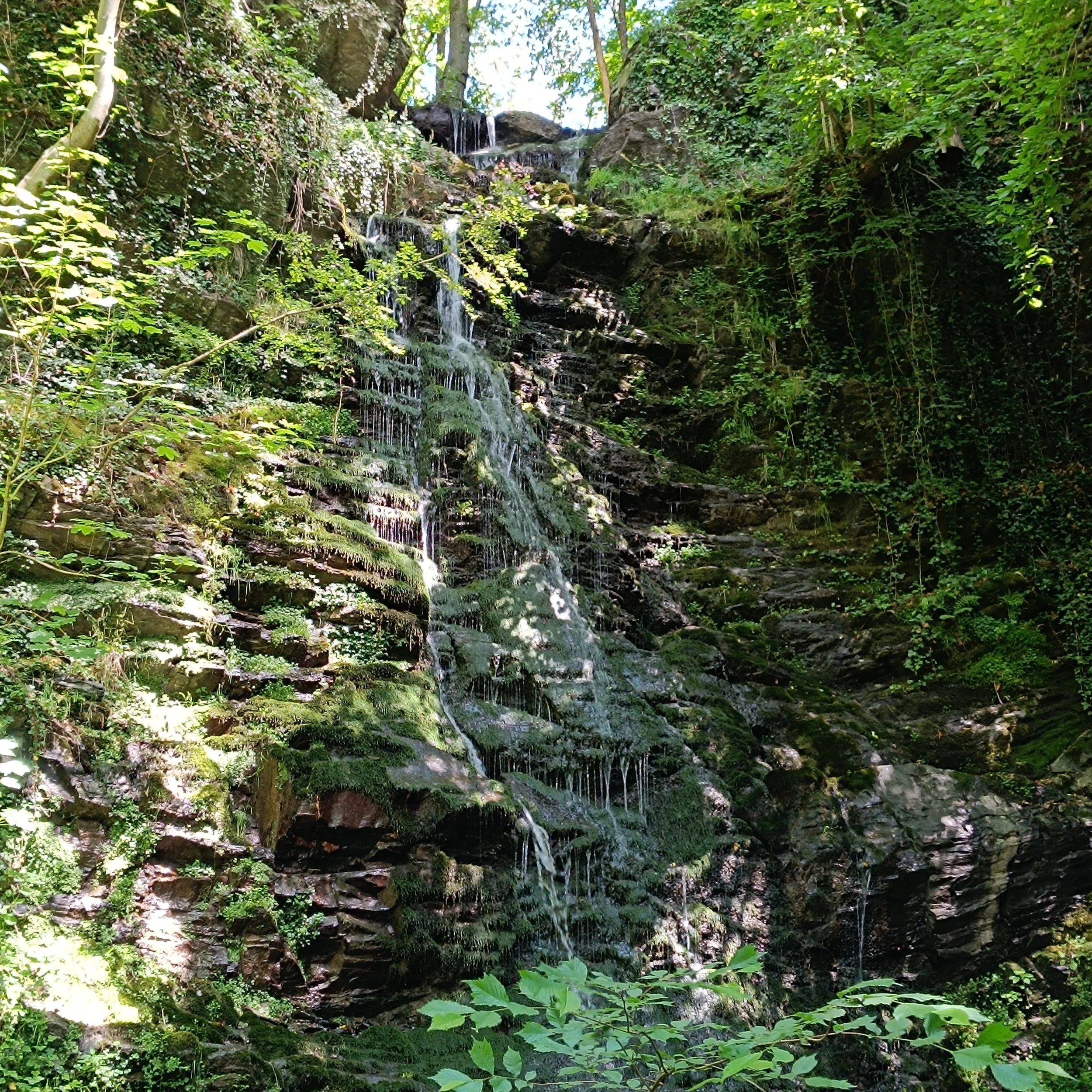 IMG_20260613_120129.jpg