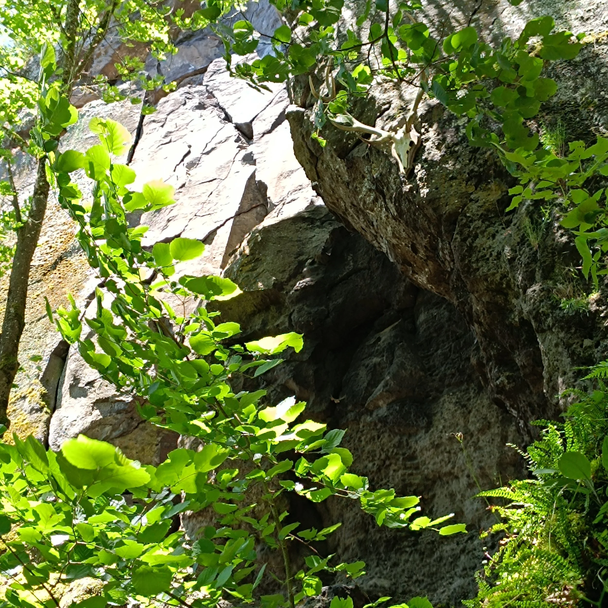 IMG_20260613_135906.jpg