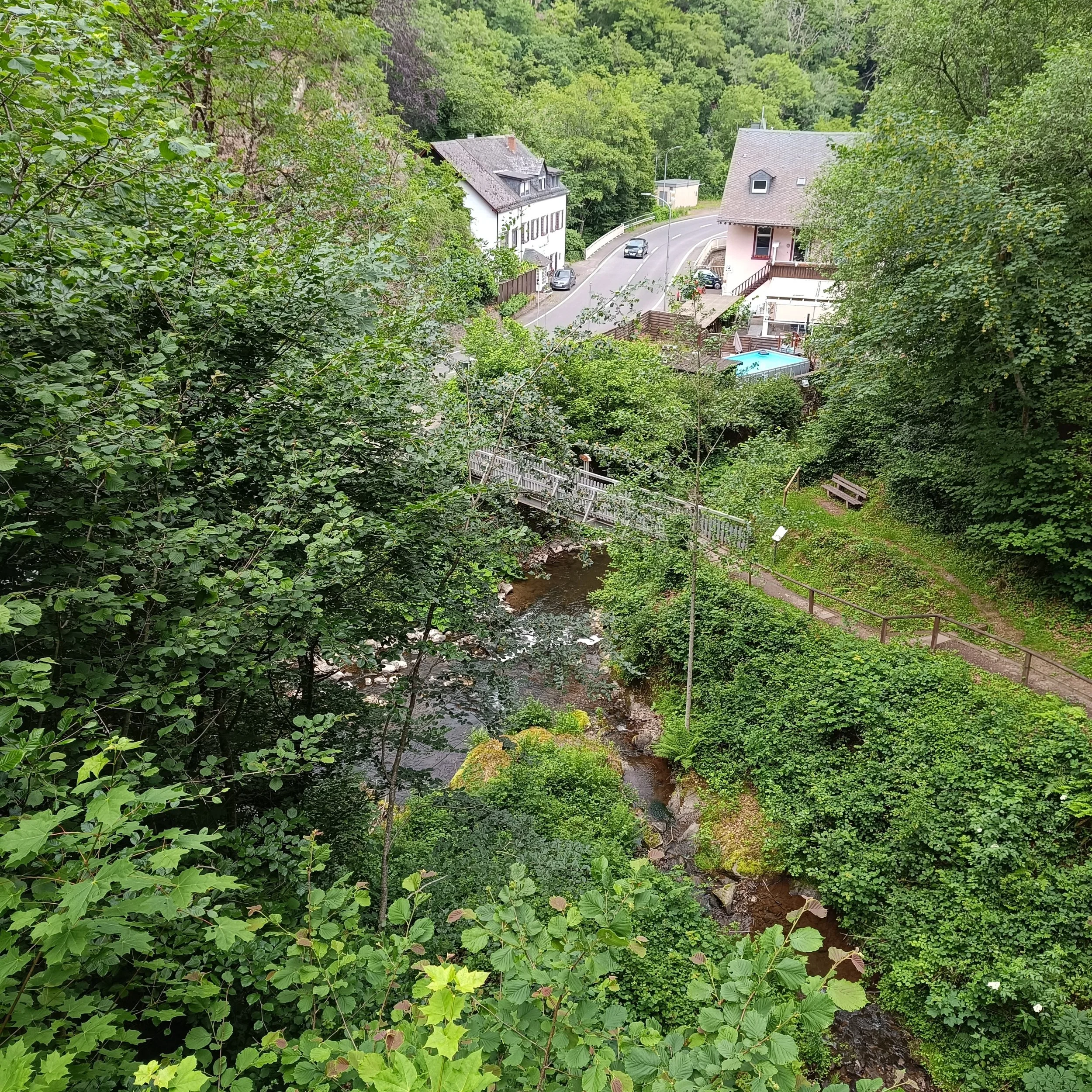 IMG_20260614_094013.jpg