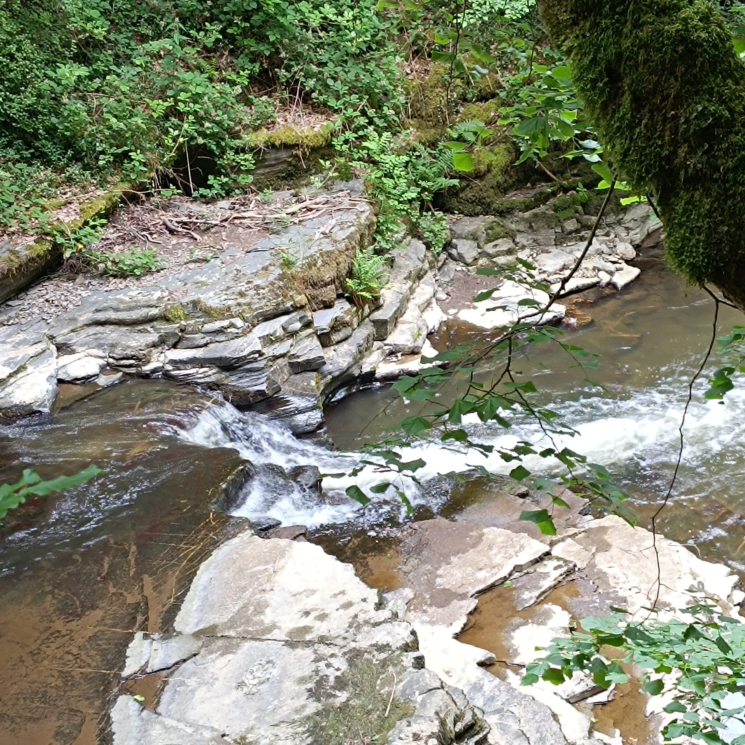 IMG_20260614_102909.jpg