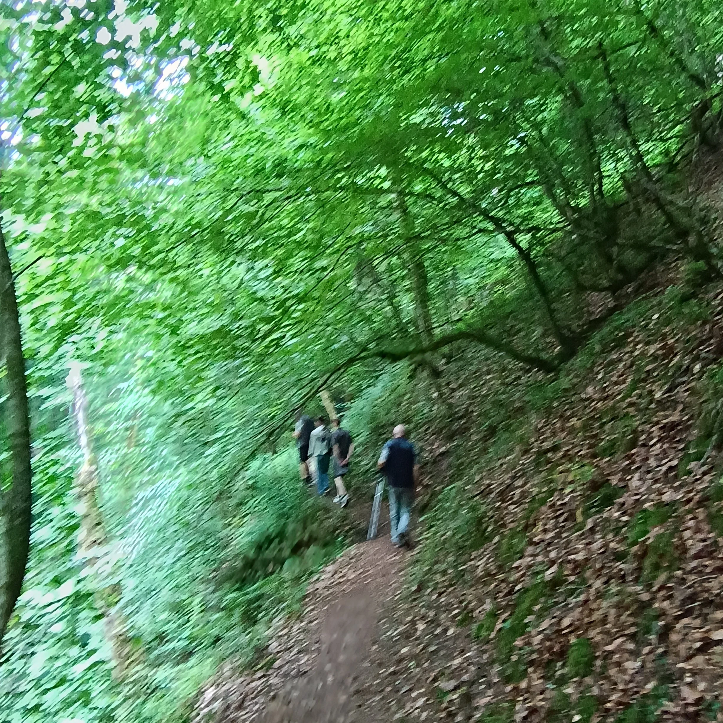 IMG_20260614_102916.jpg