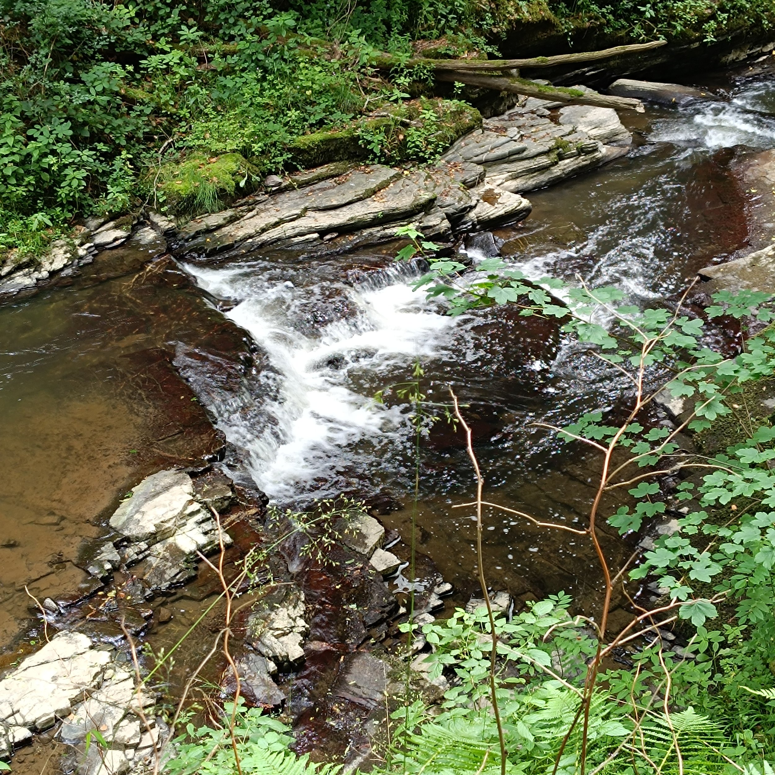 IMG_20260614_103152.jpg