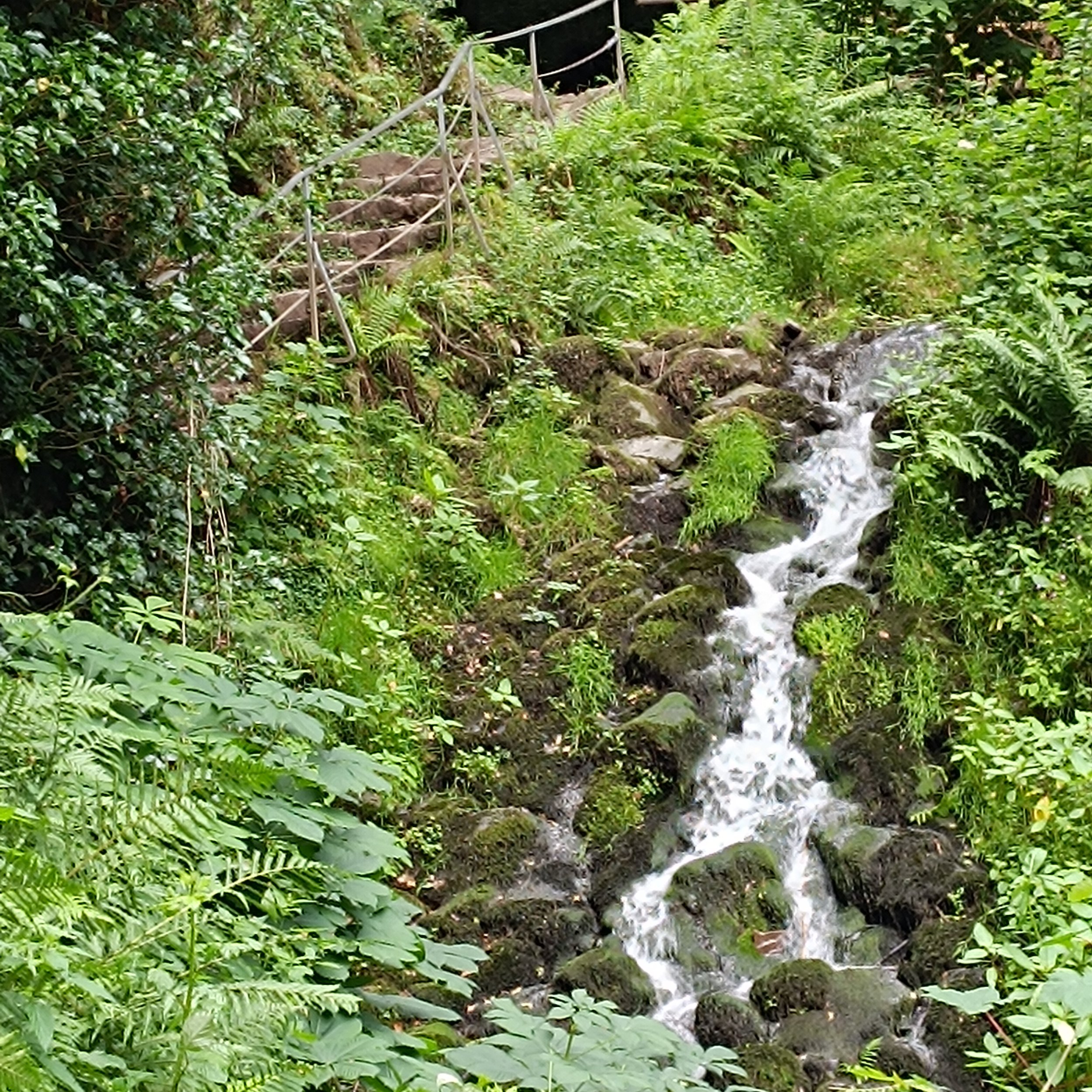 IMG_20260614_110713.jpg