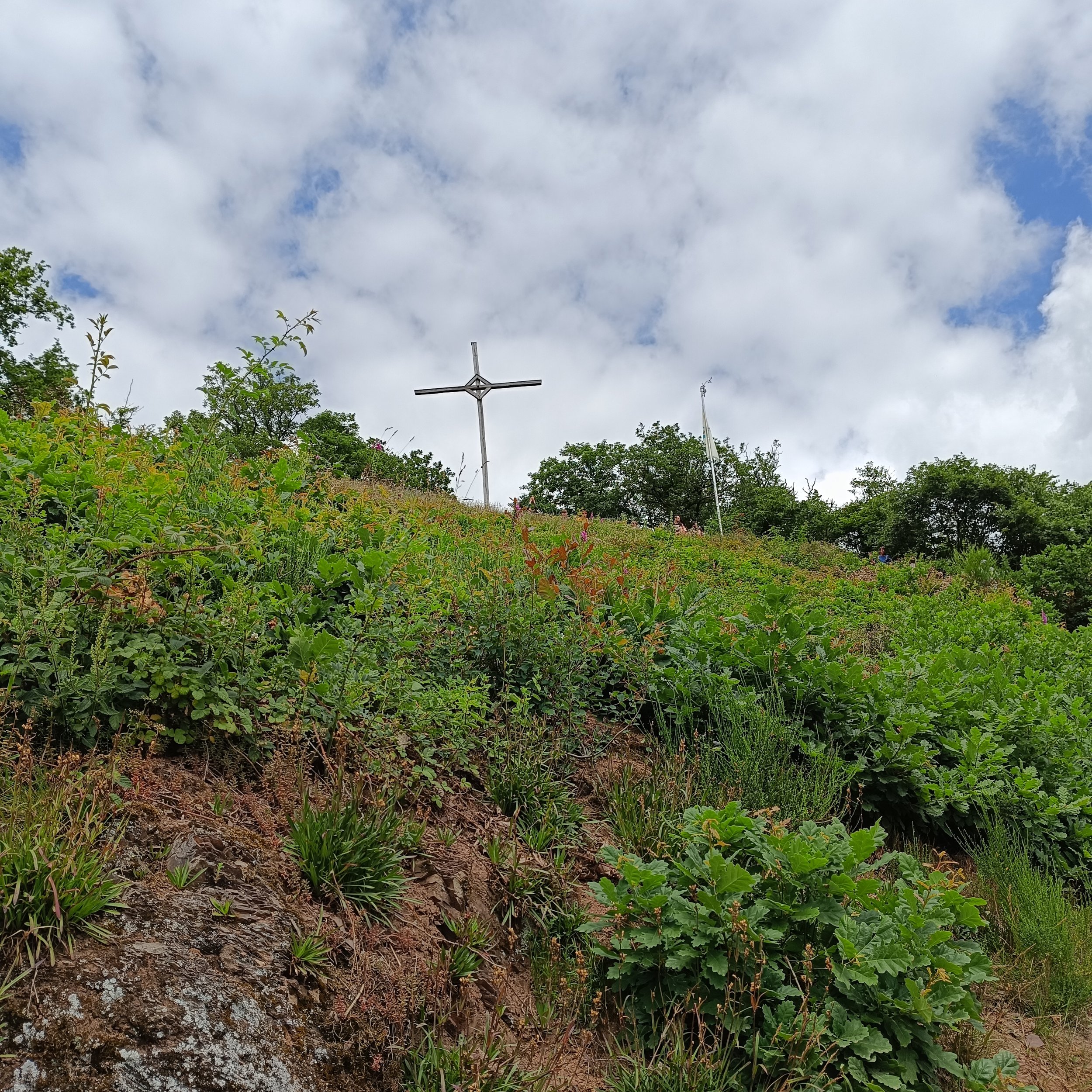 IMG_20260614_125740.jpg