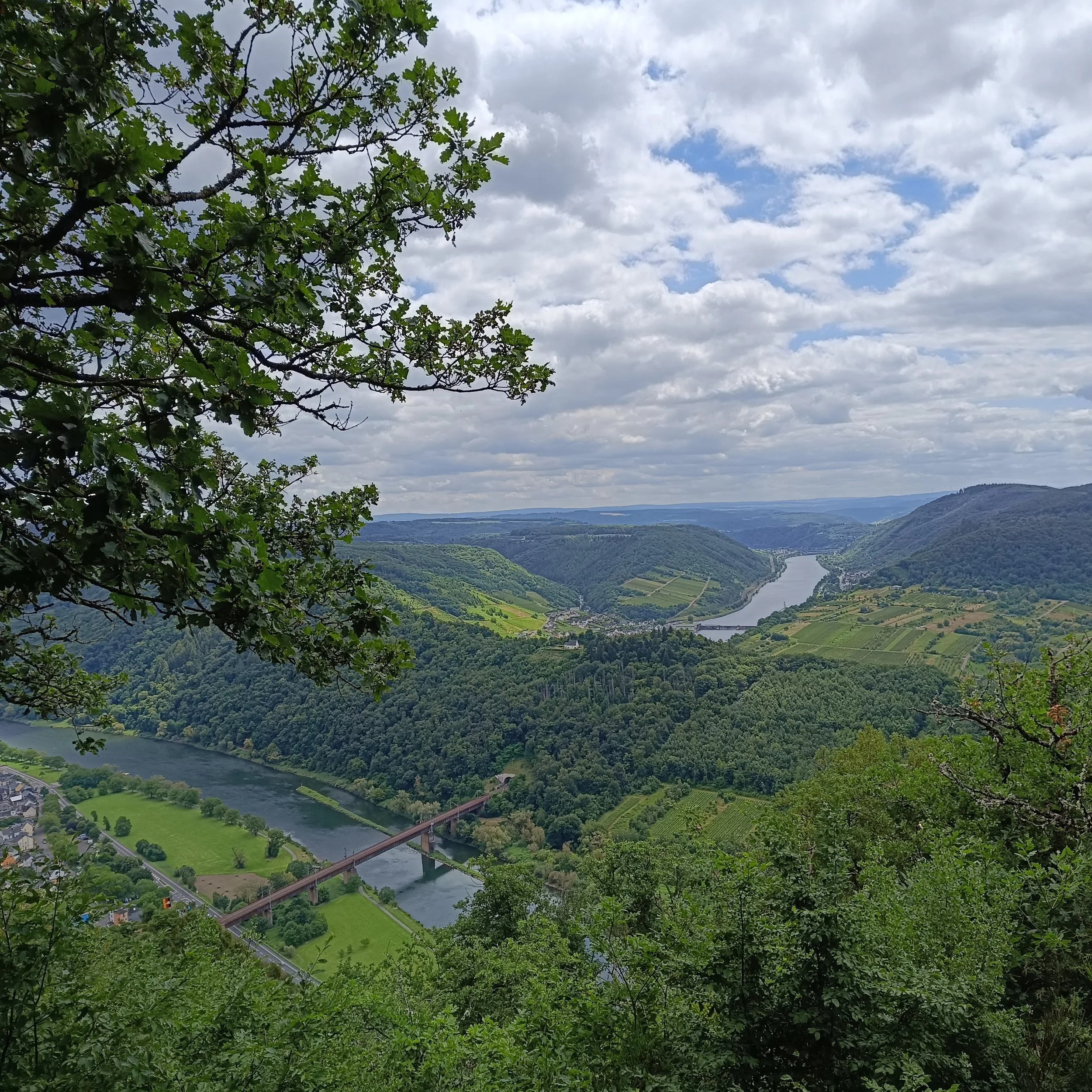 IMG_20260614_135719.jpg