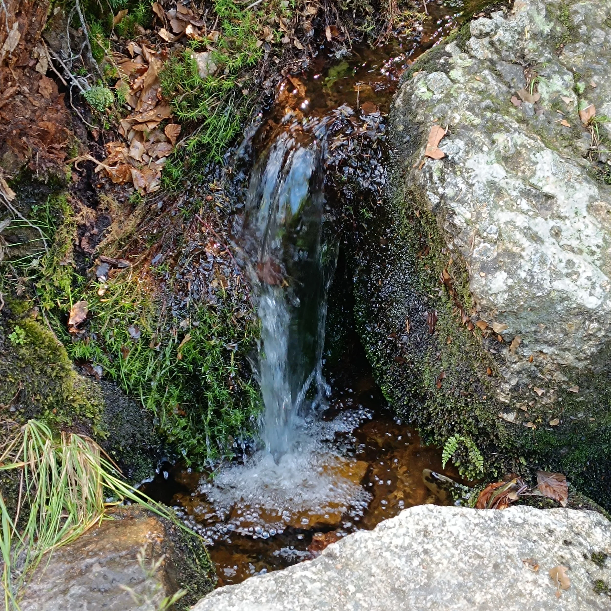 IMG_20260703_104008.jpg