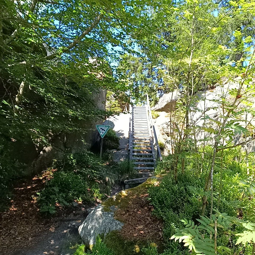 IMG_20260703_125824.jpg