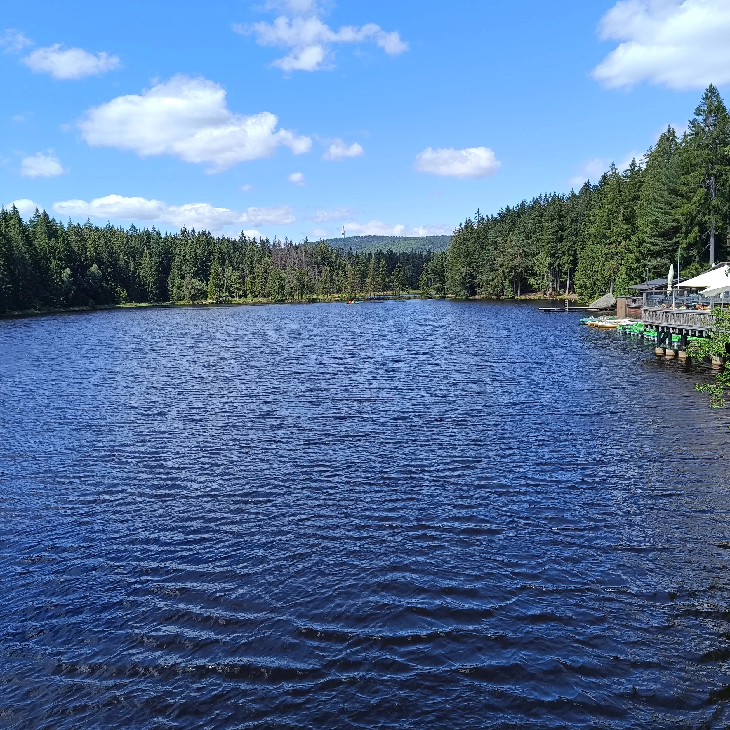 IMG_20260703_151055.jpg
