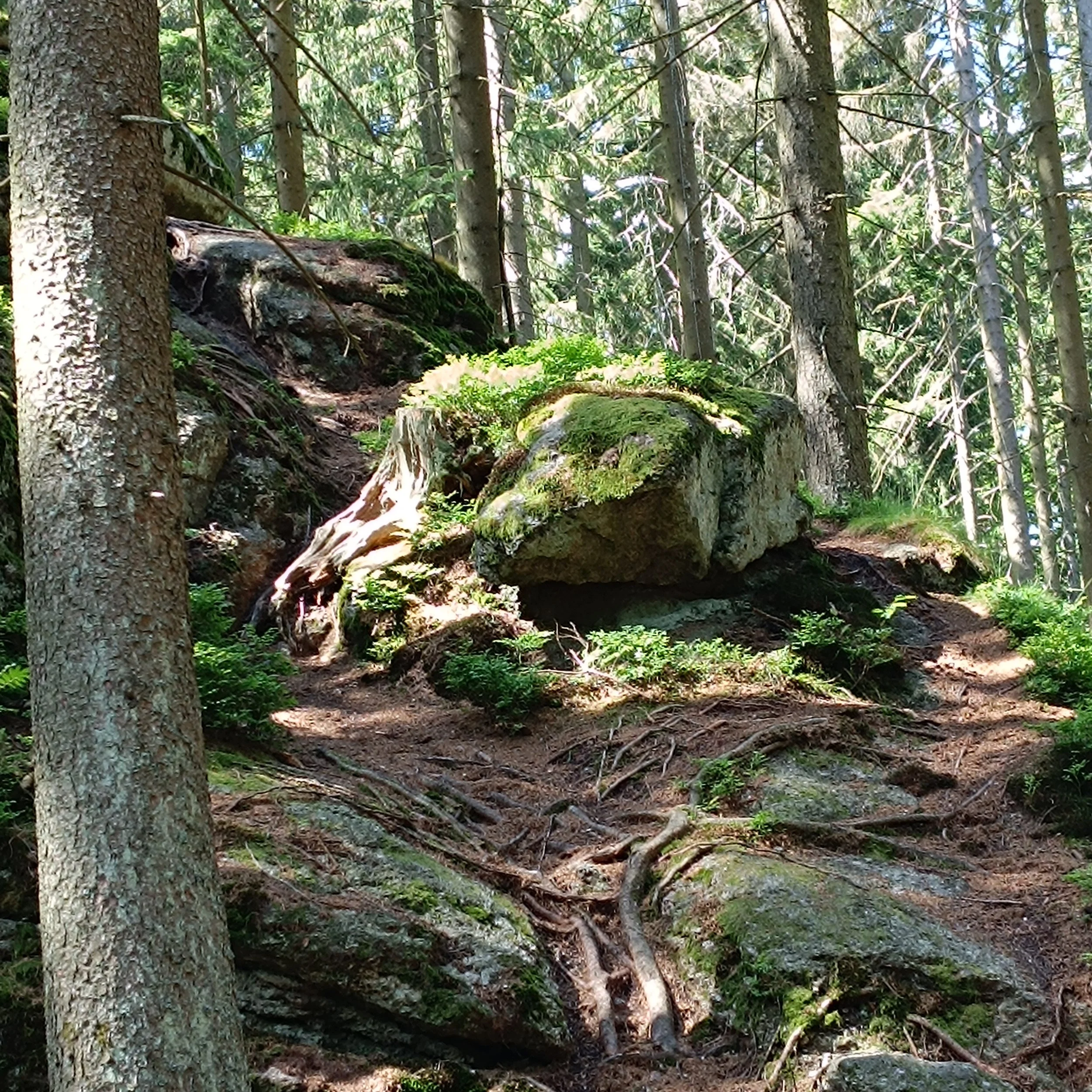 IMG_20260703_151949.jpg