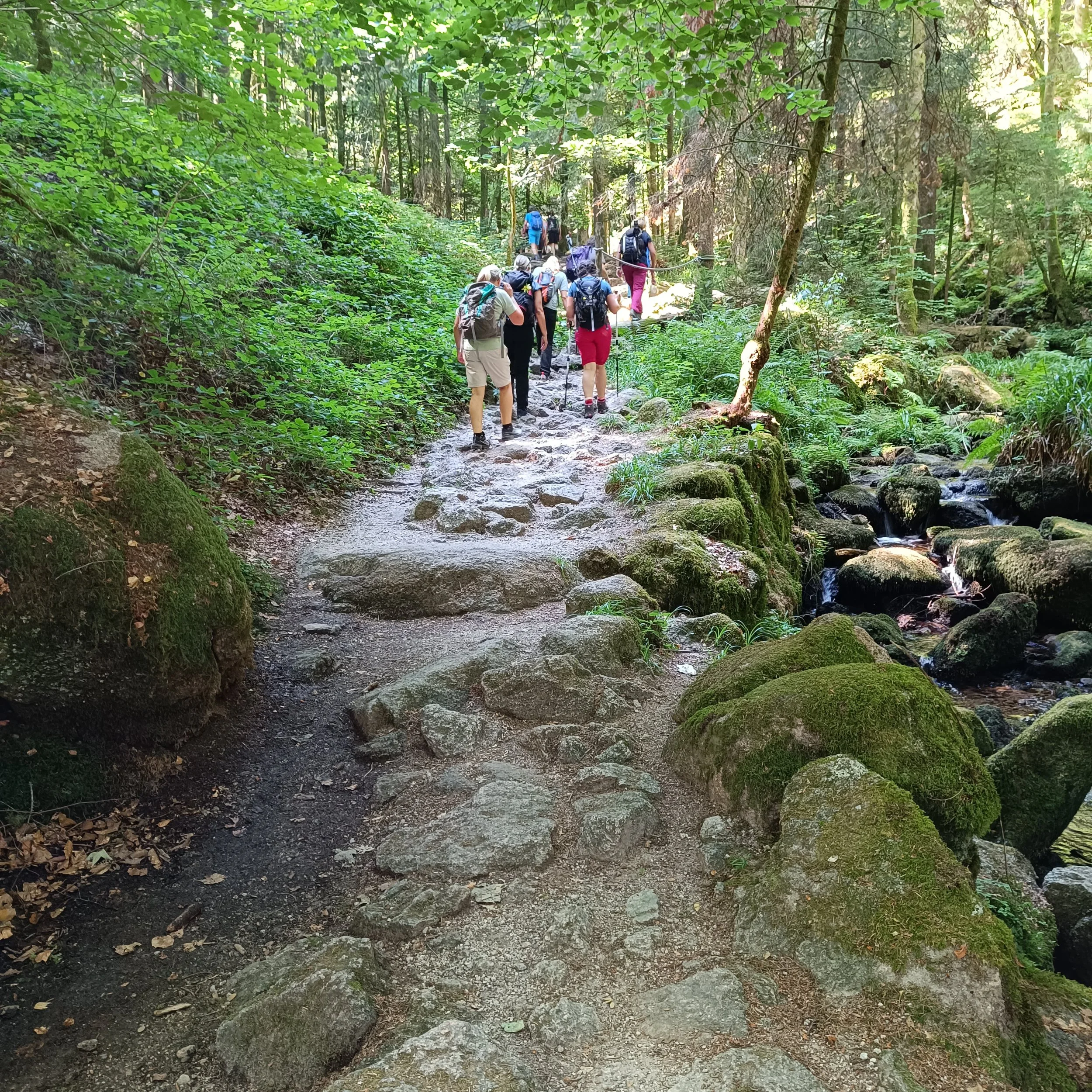 IMG_20260725_111119.jpg