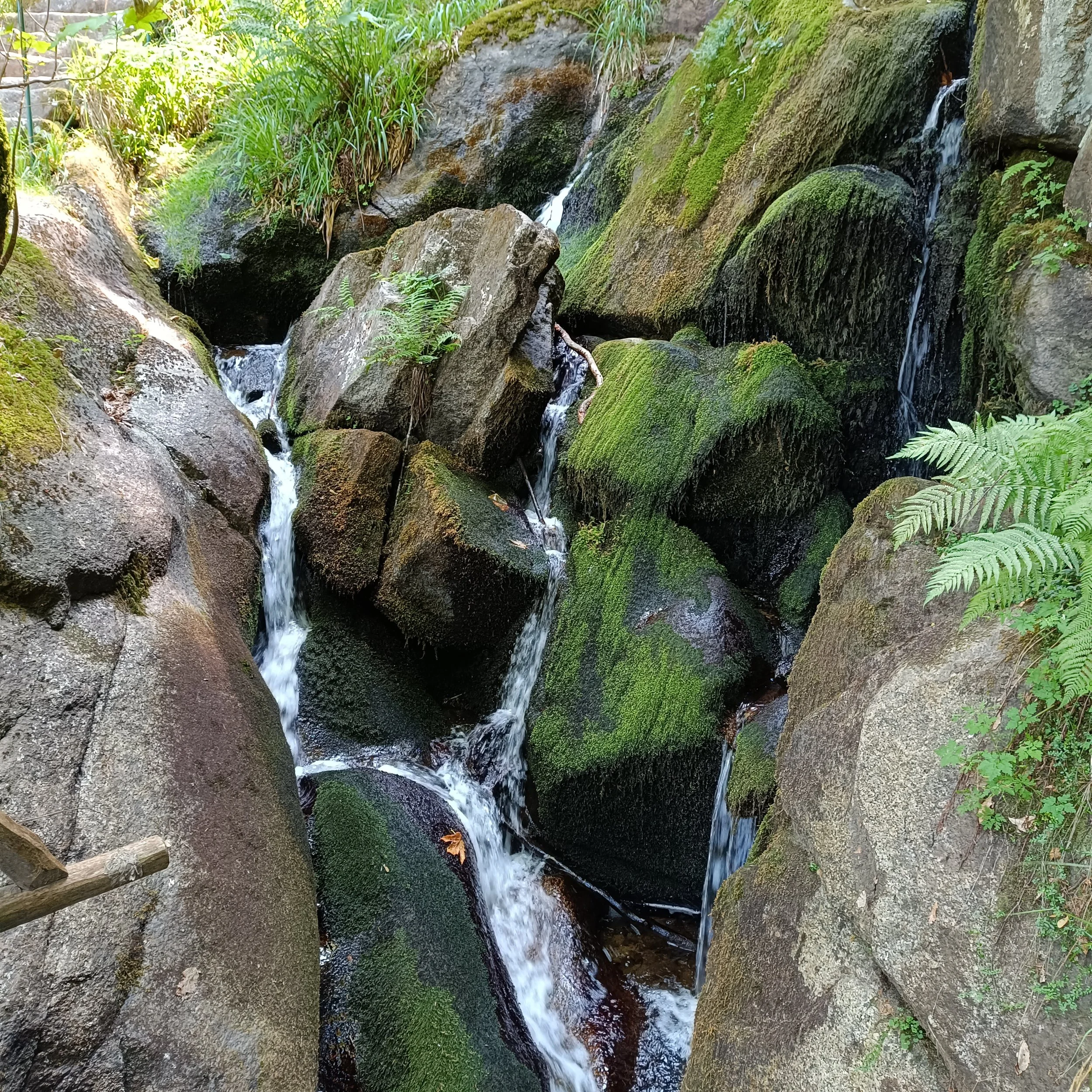 IMG_20260725_115349.jpg