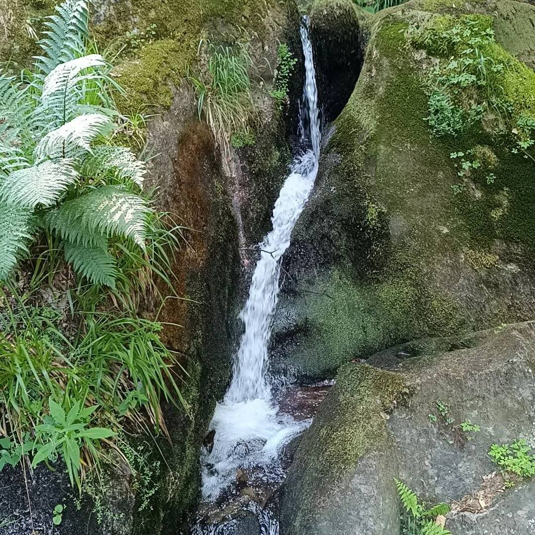 IMG_20260725_115429.jpg