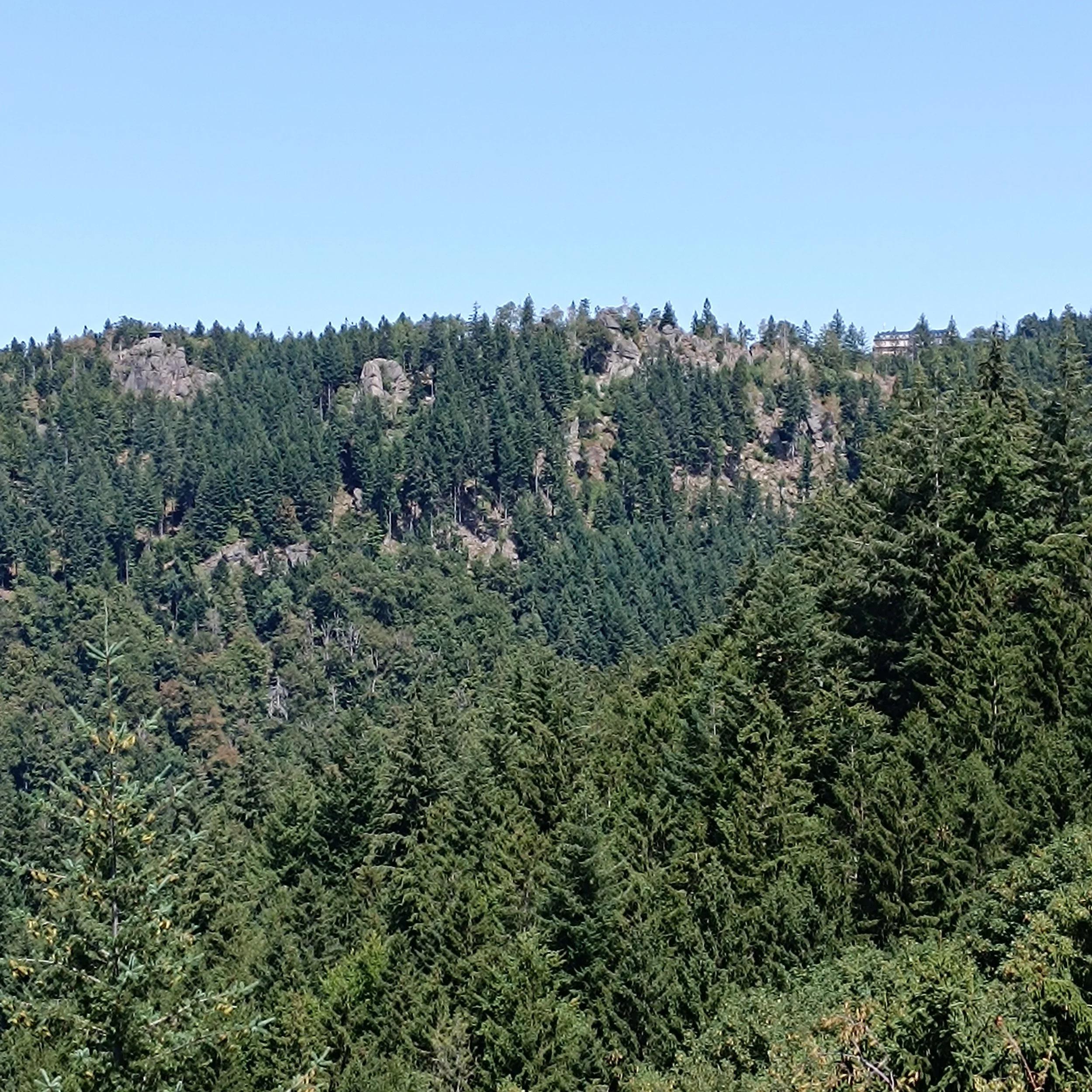 IMG_20260725_130920.jpg