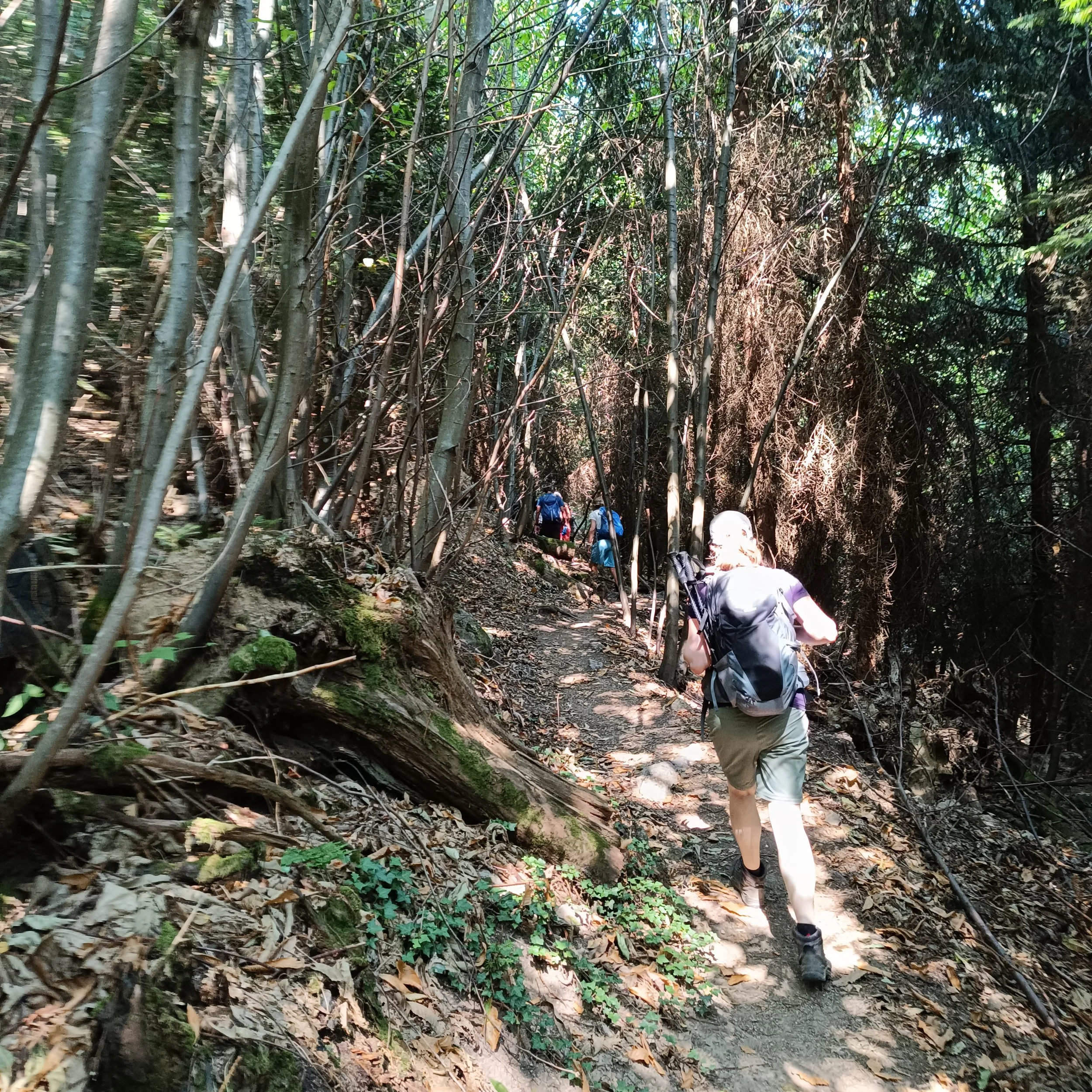 IMG_20260726_112839.jpg