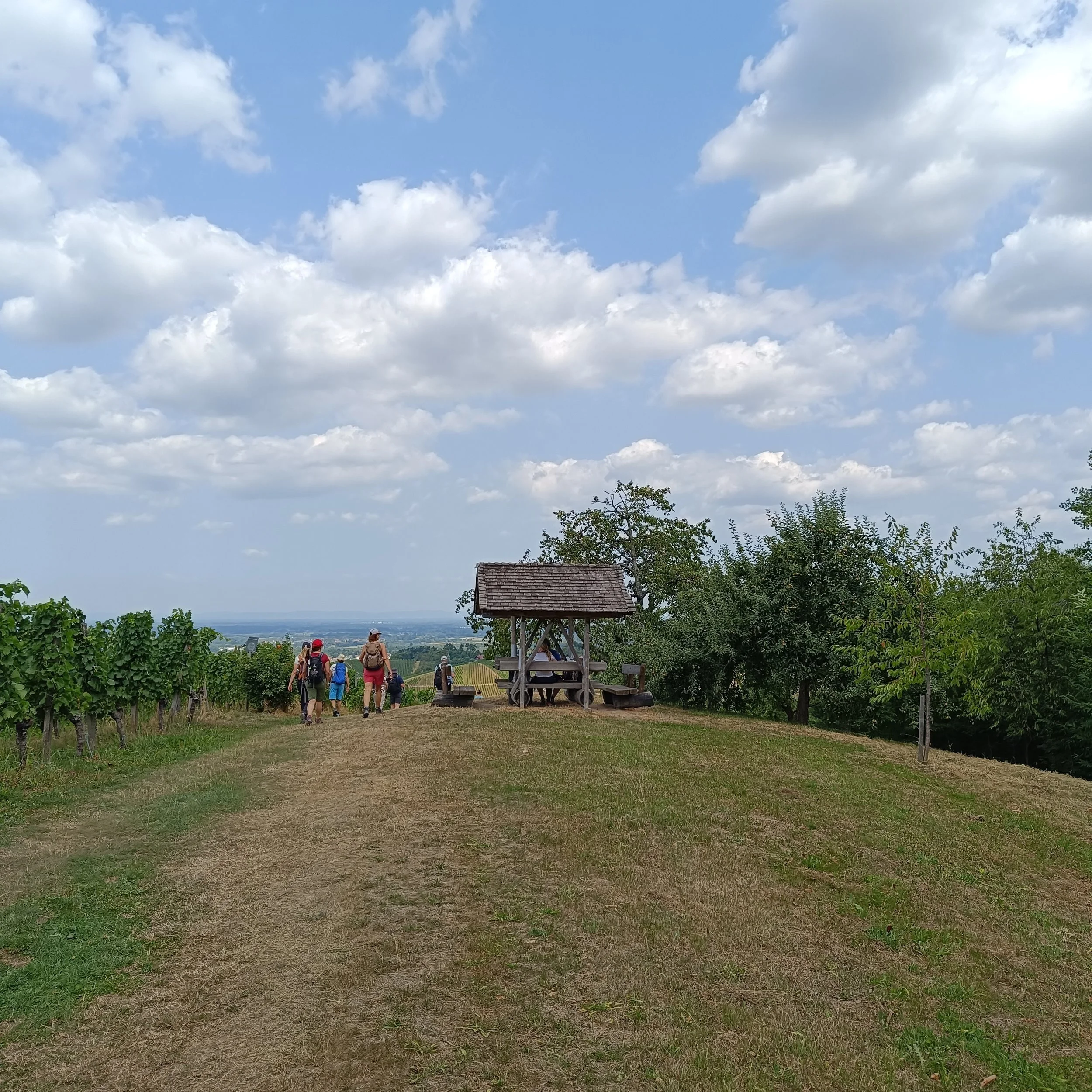IMG_20260726_121158.jpg