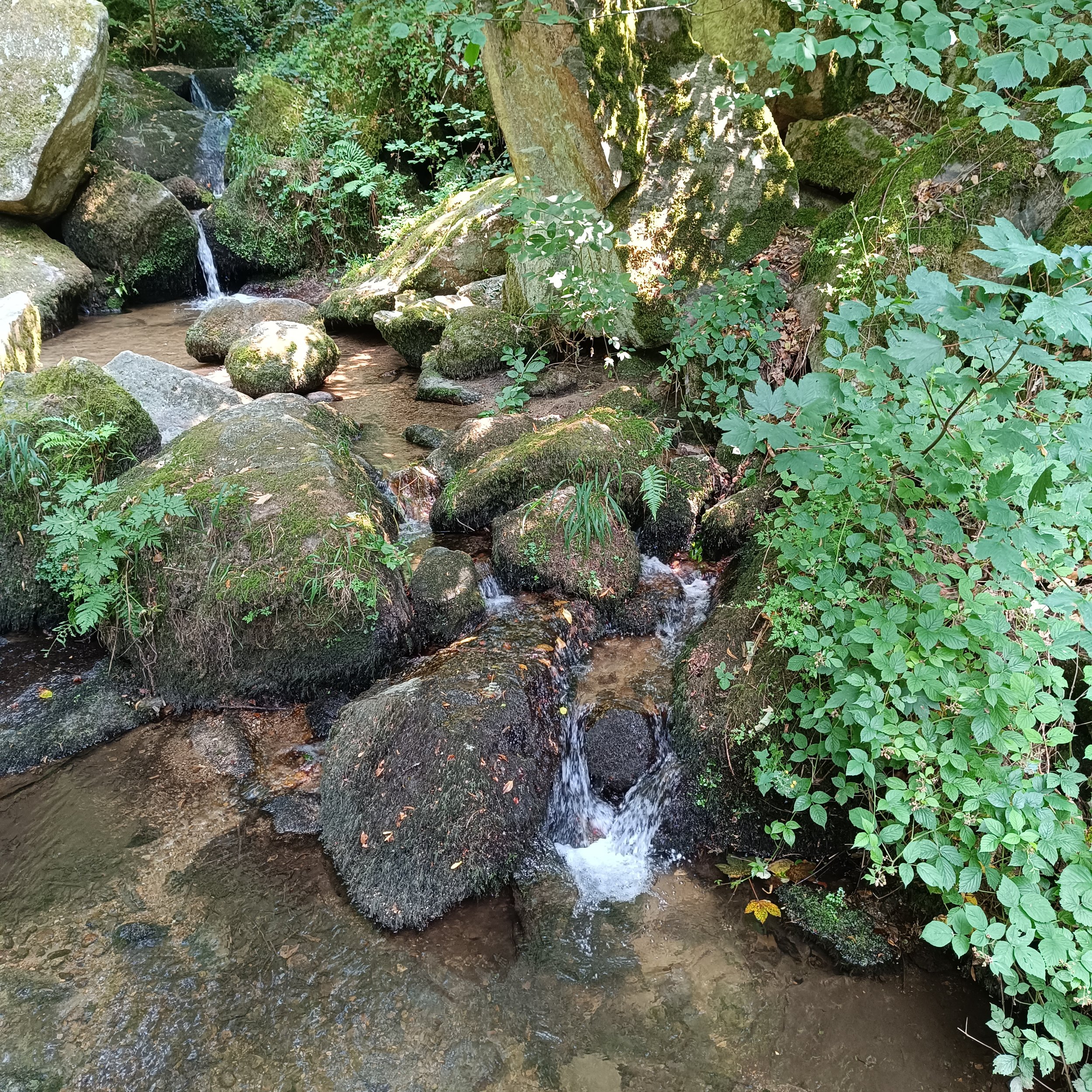 IMG_20260726_140724.jpg