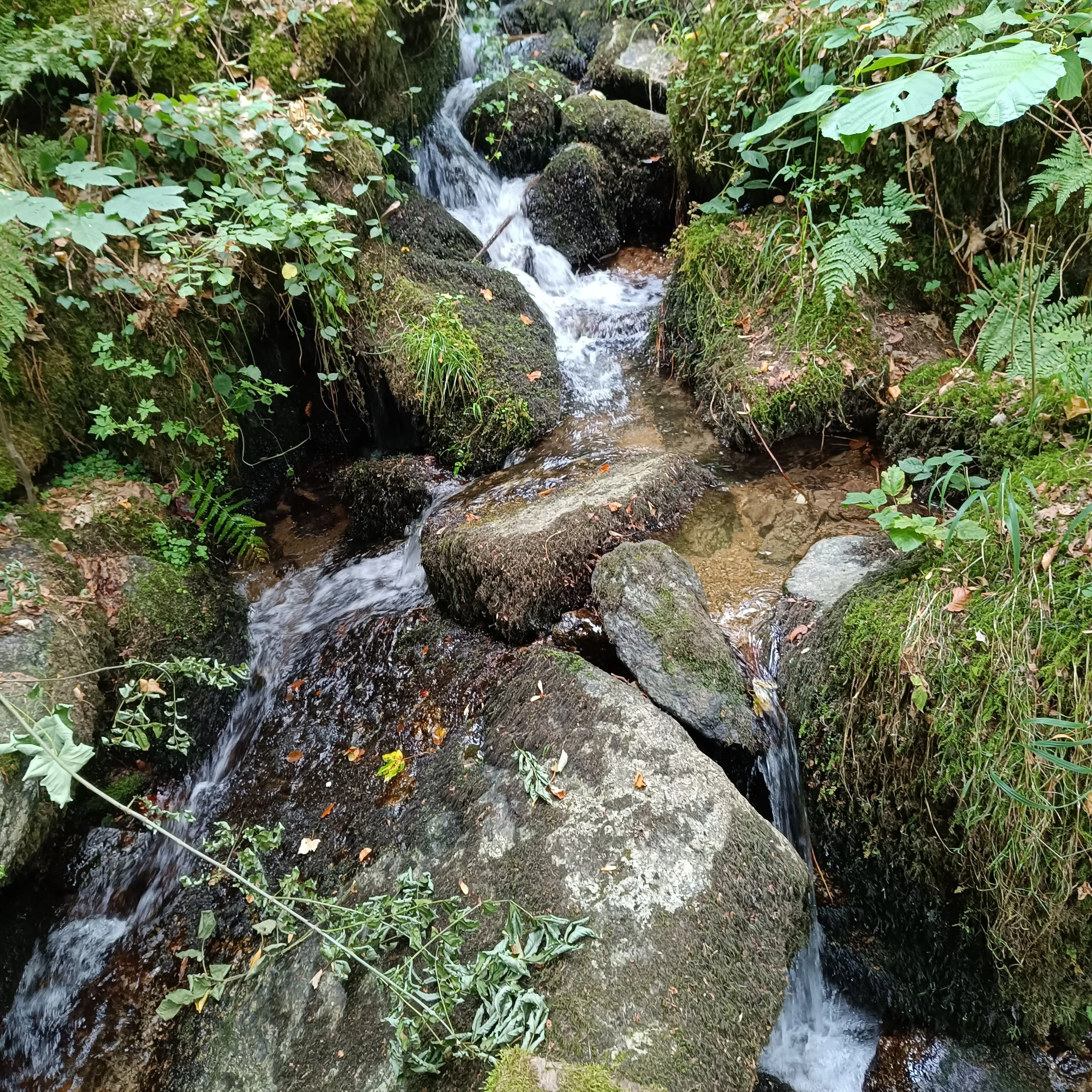 IMG_20260726_140946.jpg