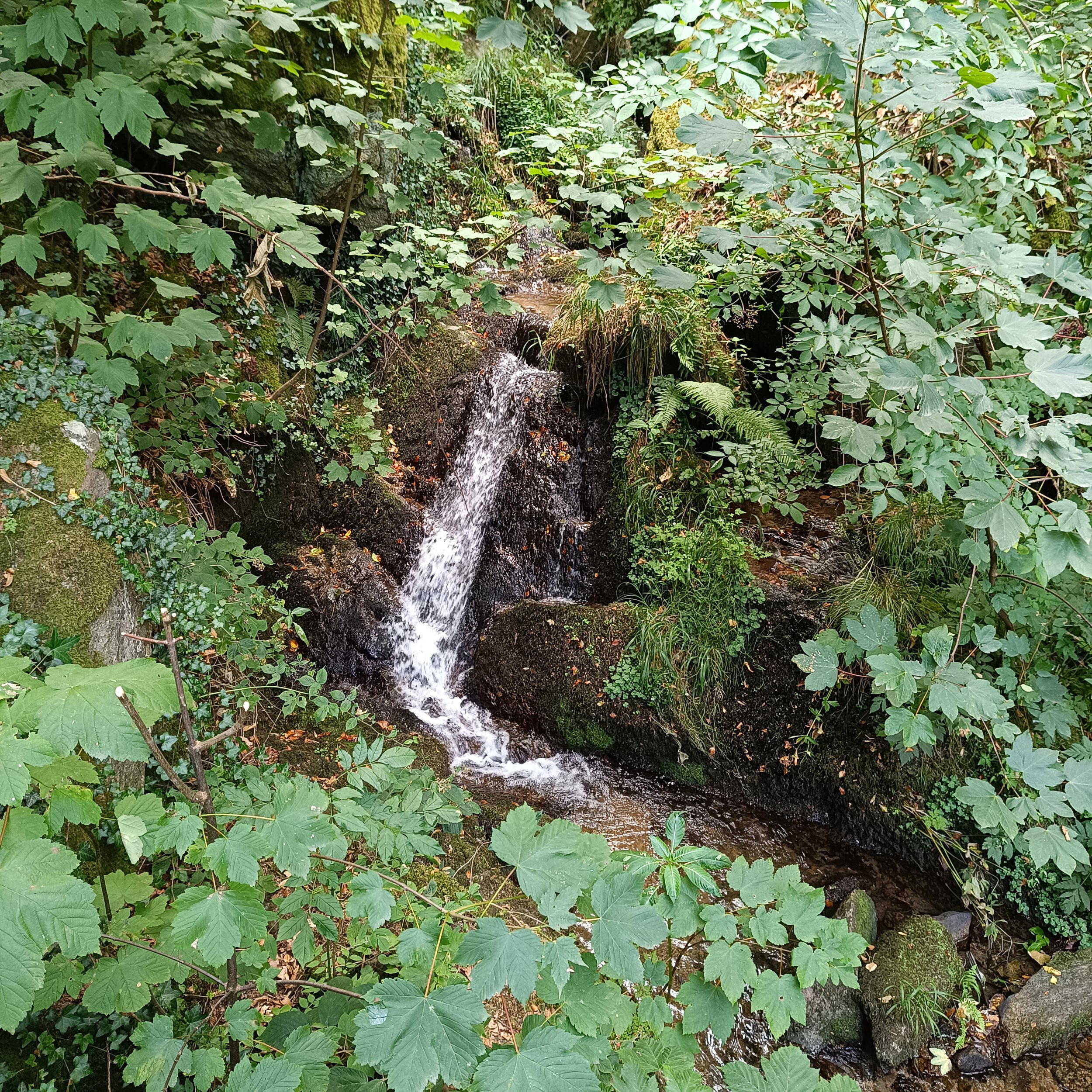 IMG_20260726_141313.jpg