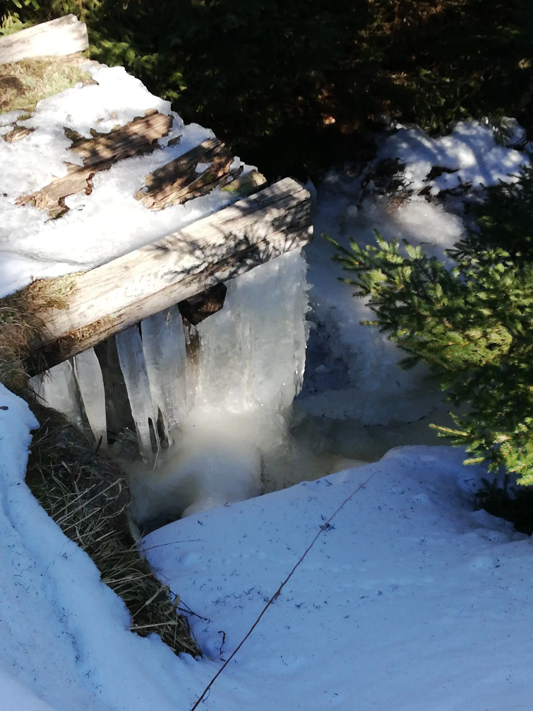 🆕Schneegeflüster-Touren: Harzer Rundpfade im Wintermärchen