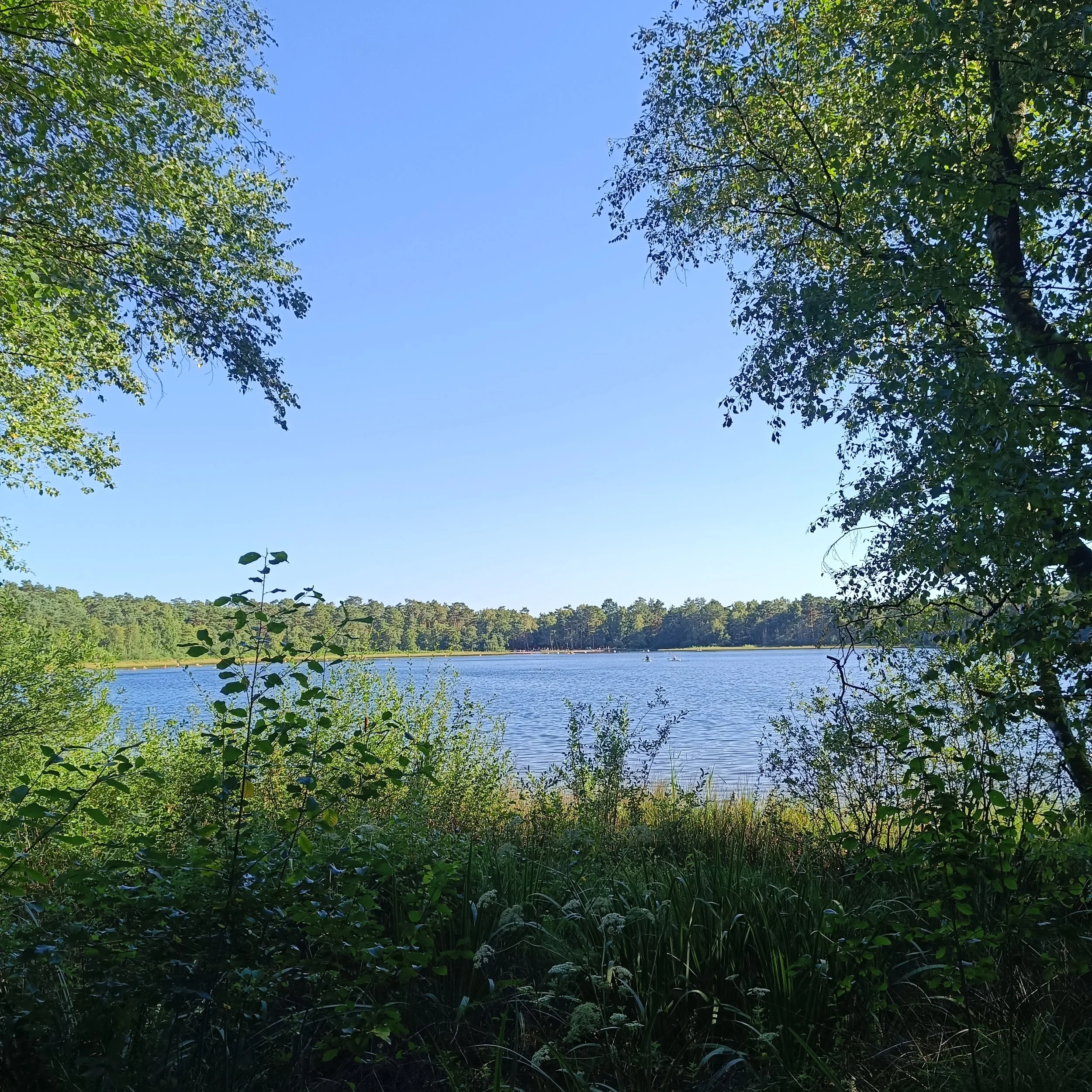 IMG_20260813_172404.jpg