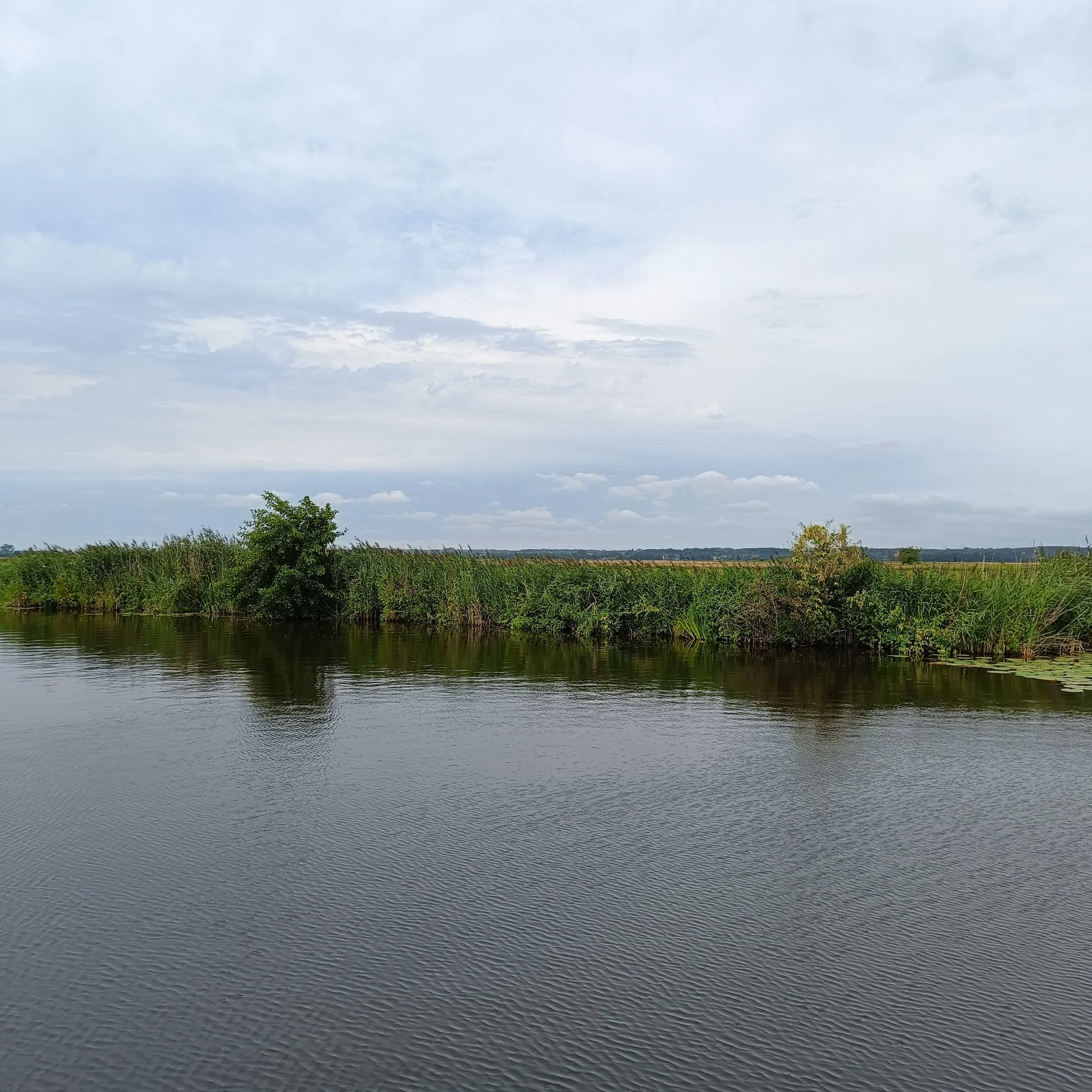 IMG_20260815_105513.jpg