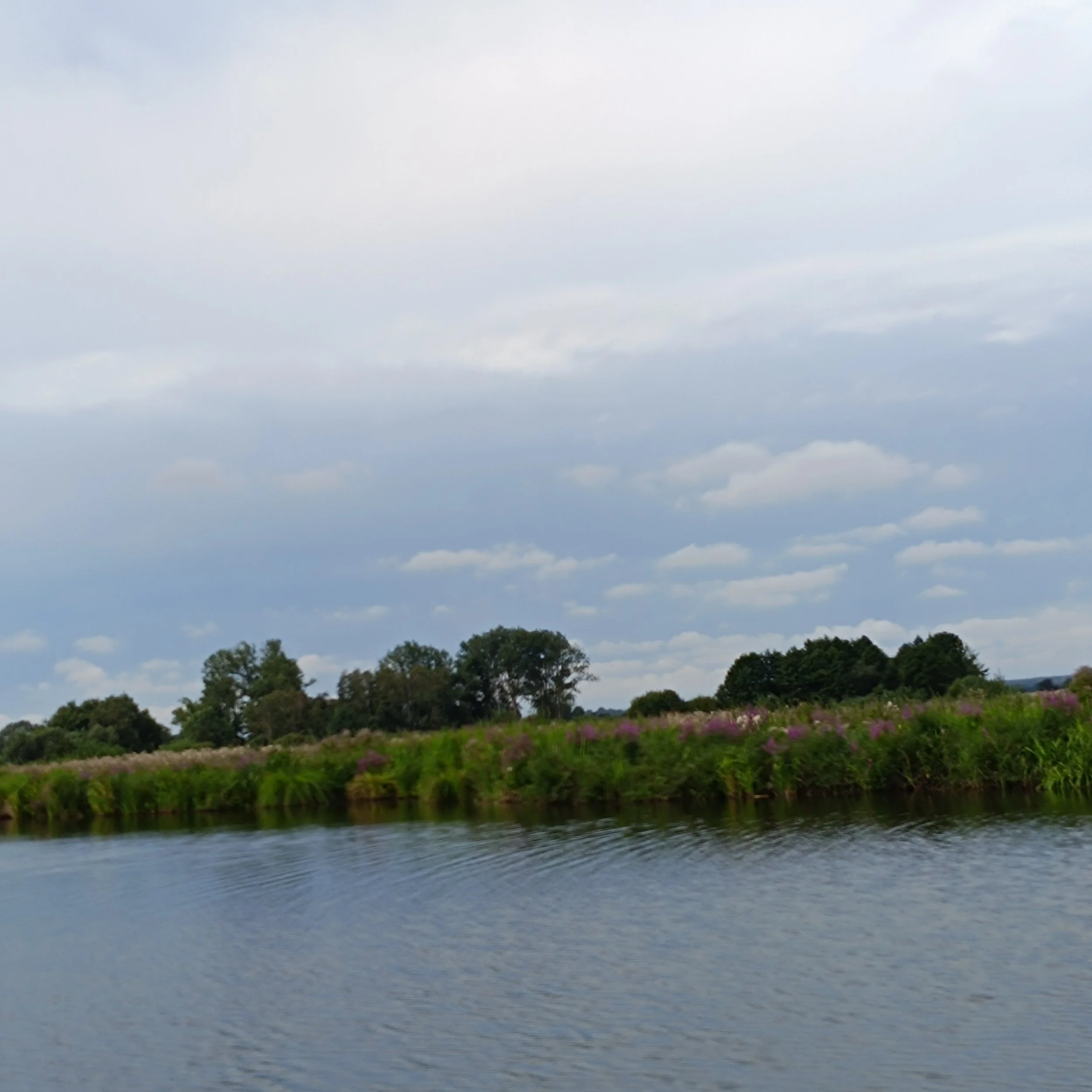 IMG_20260815_111653.jpg
