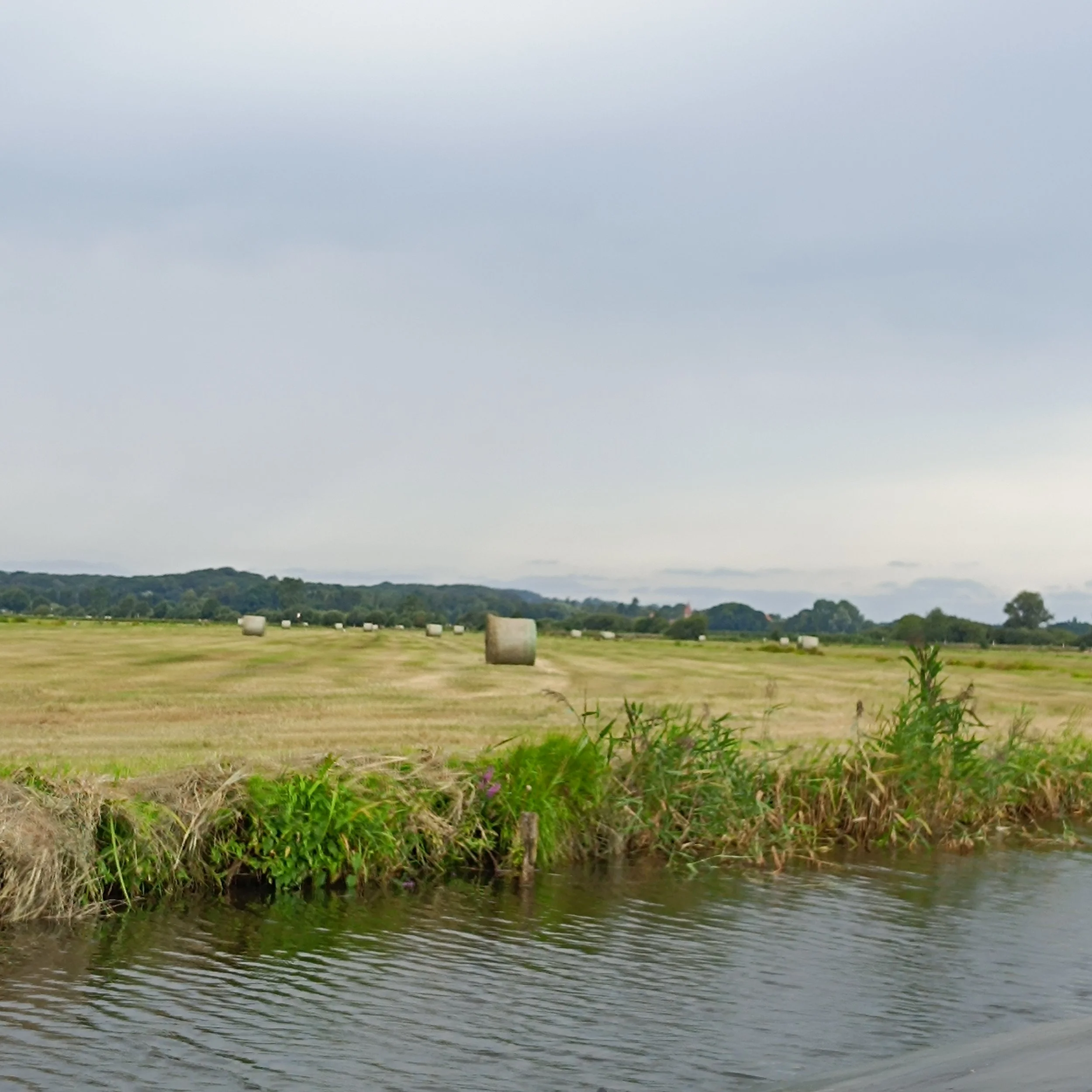 IMG_20260815_113949.jpg