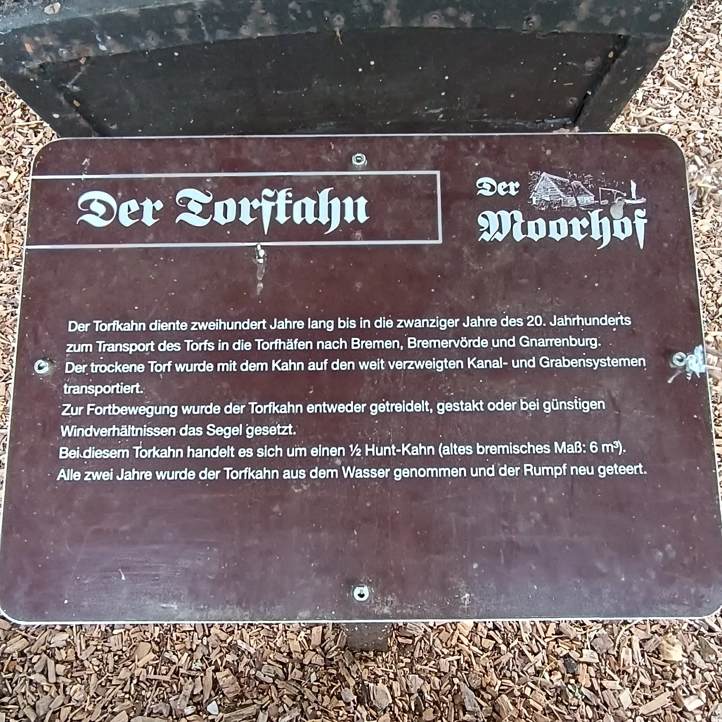 IMG_20260815_142109.jpg
