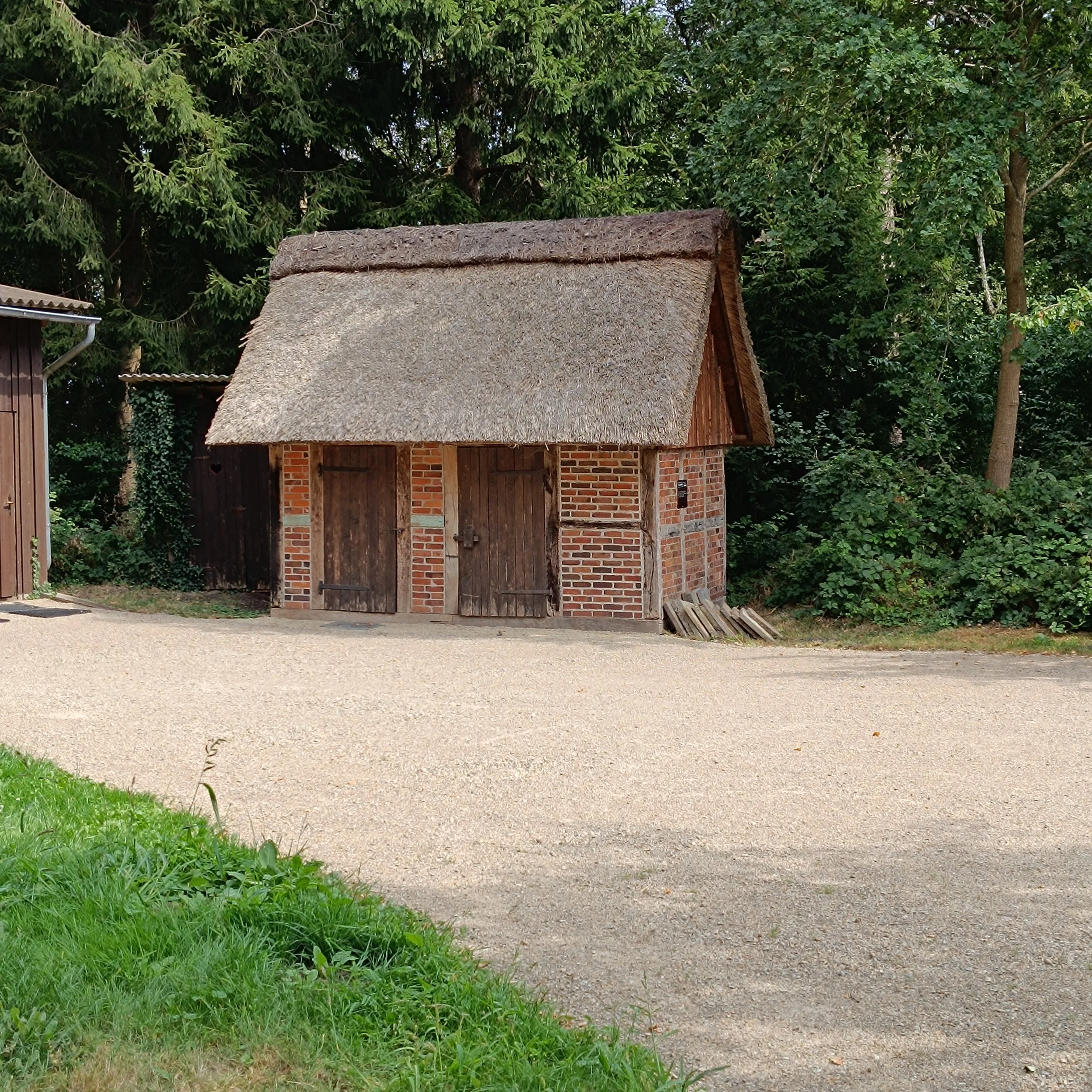 IMG_20260815_142741.jpg