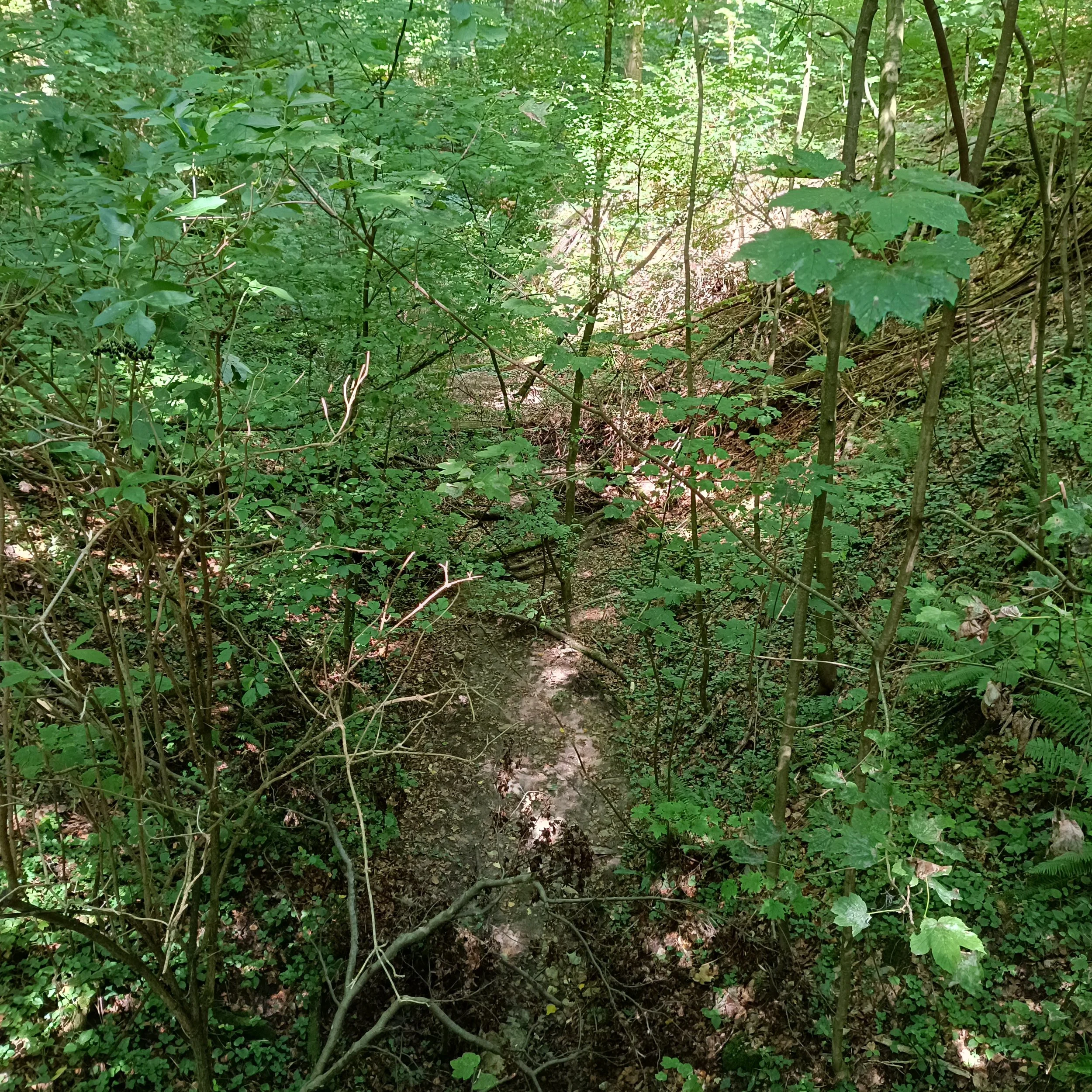 IMG_20260906_124027.jpg