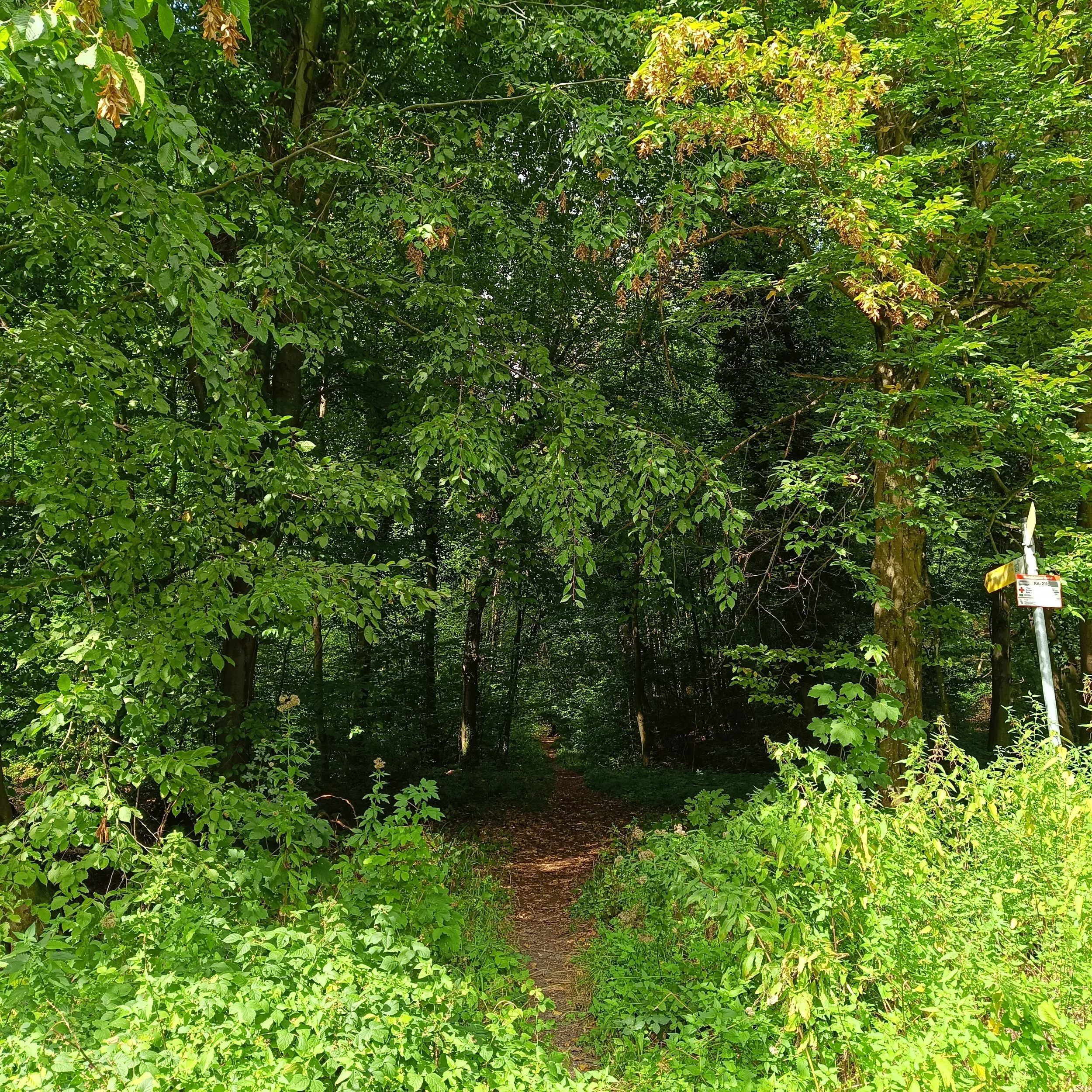 IMG_20260906_132741.jpg