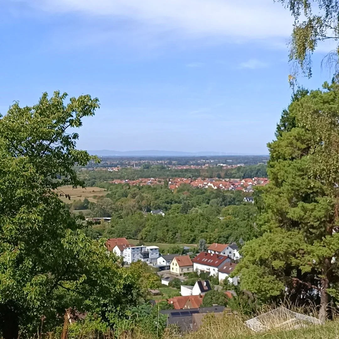 IMG_20260906_133915.jpg