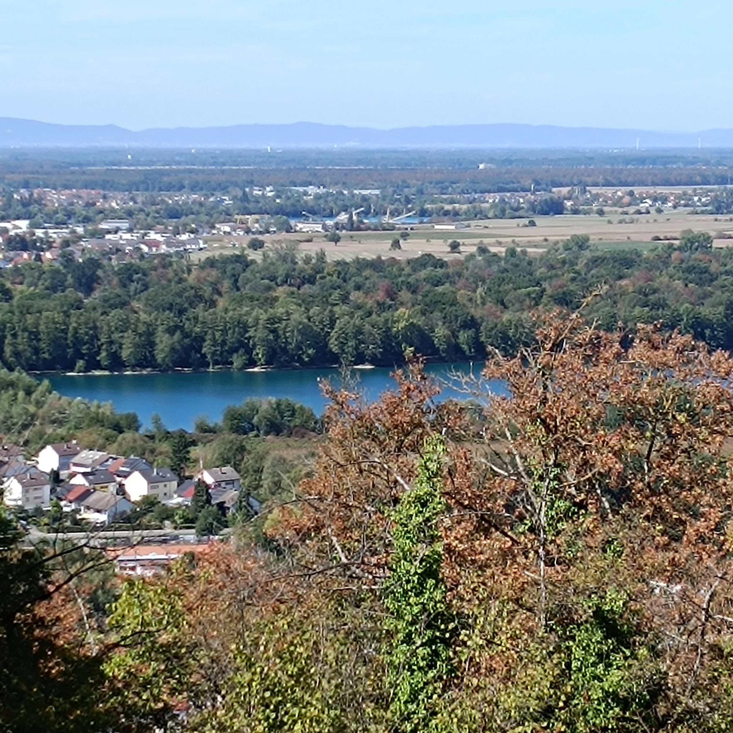 IMG_20260906_141153.jpg